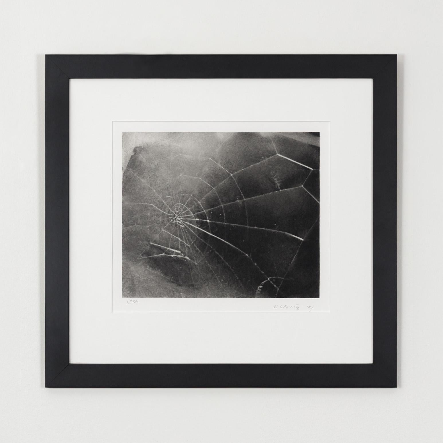 Spider Web - Print by Vija Celmins