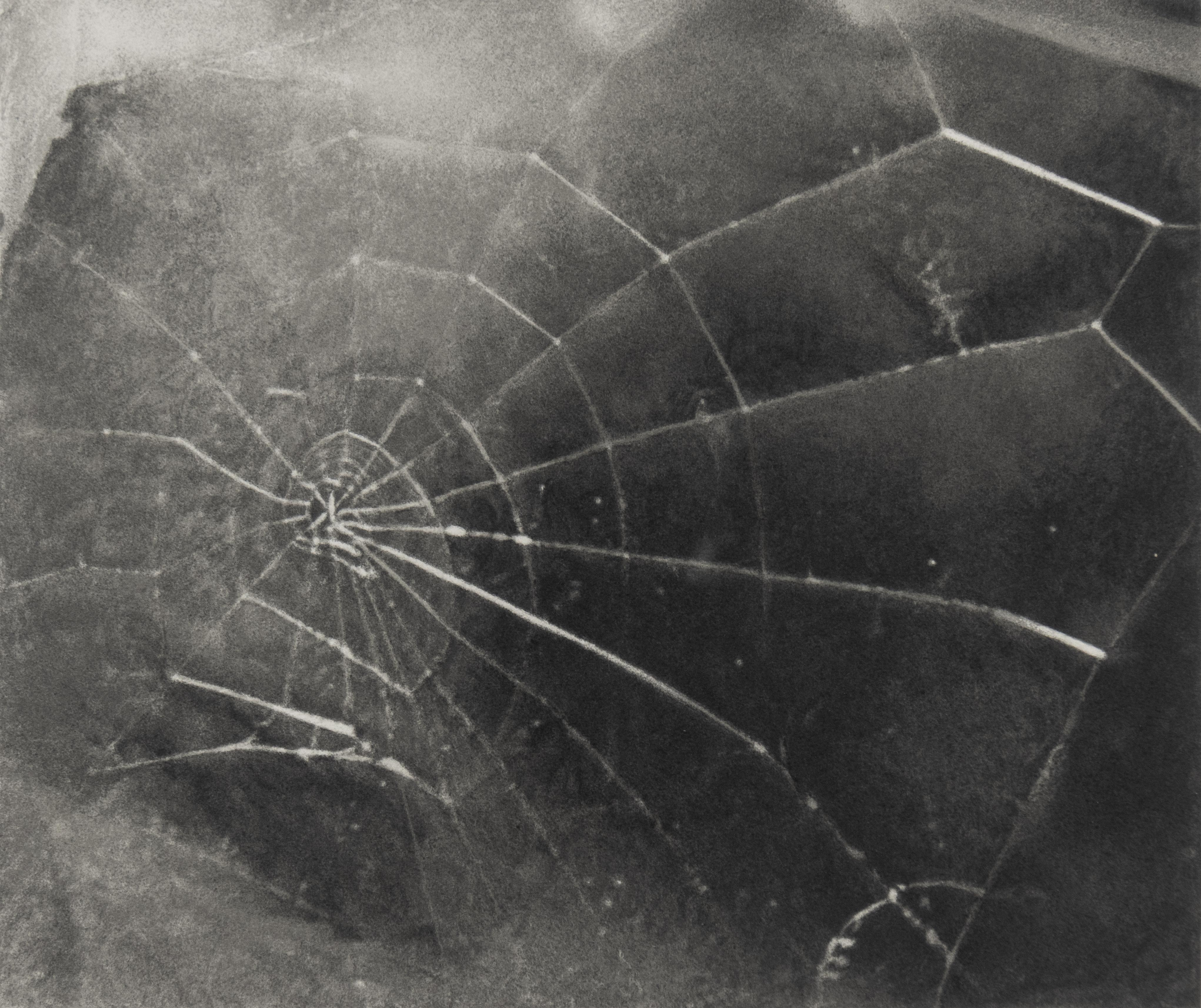 Vija Celmins

Spinnennetz, 2009

Signiert, datiert und nummeriert mit Bleistift, recto

Siebdruck auf Hadernpapier (Auflage: 117)

17,5 x 19 Zoll, Blatt
11 x 13 Zoll, Bild