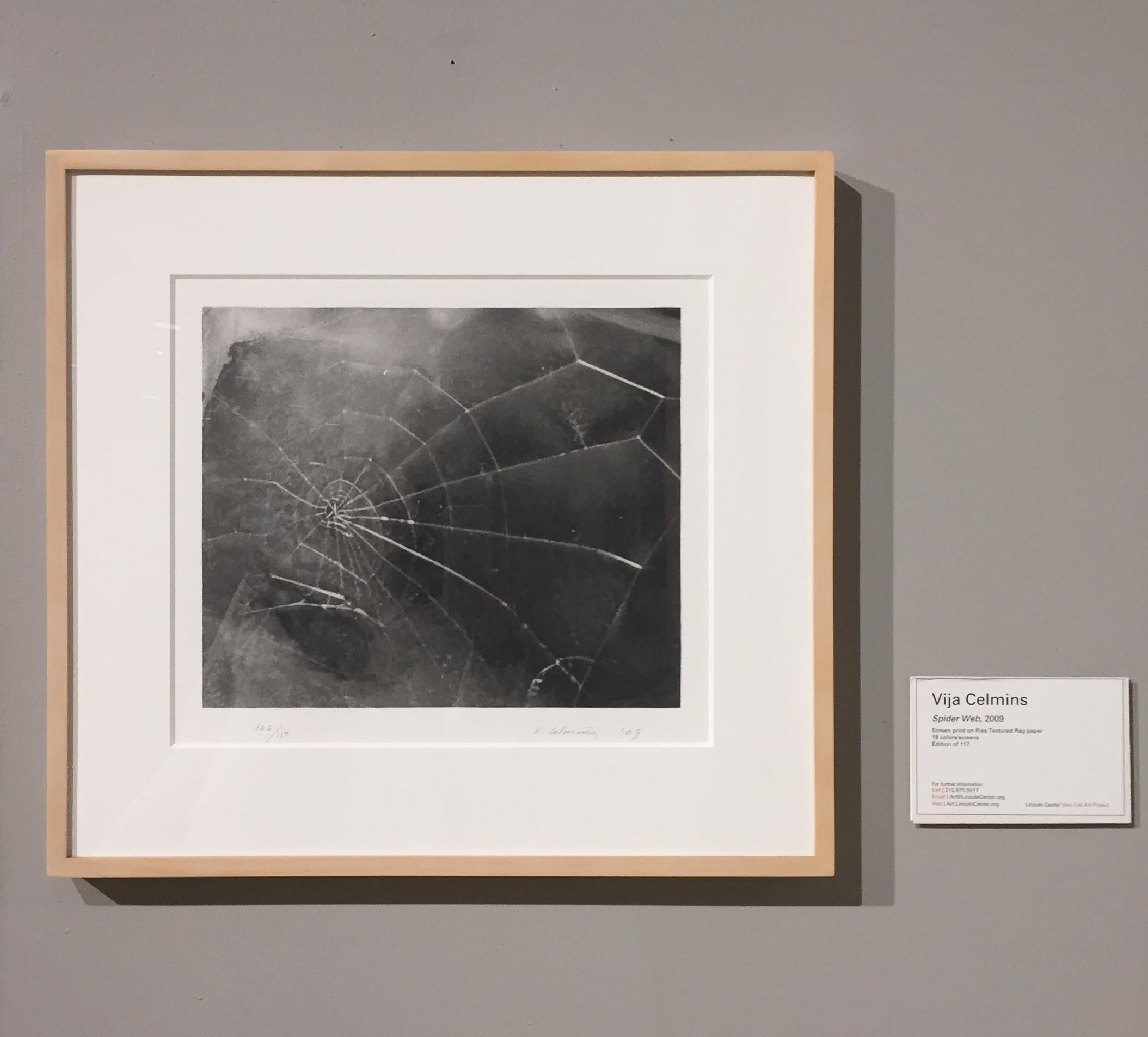 SPIDER WEB, Vija Celmins (Siebdruck eines Spinnennetzes) im Angebot 1