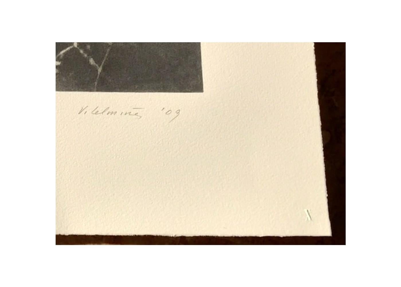SPIDER WEB, Vija Celmins (screen print of spiderweb) For Sale 2
