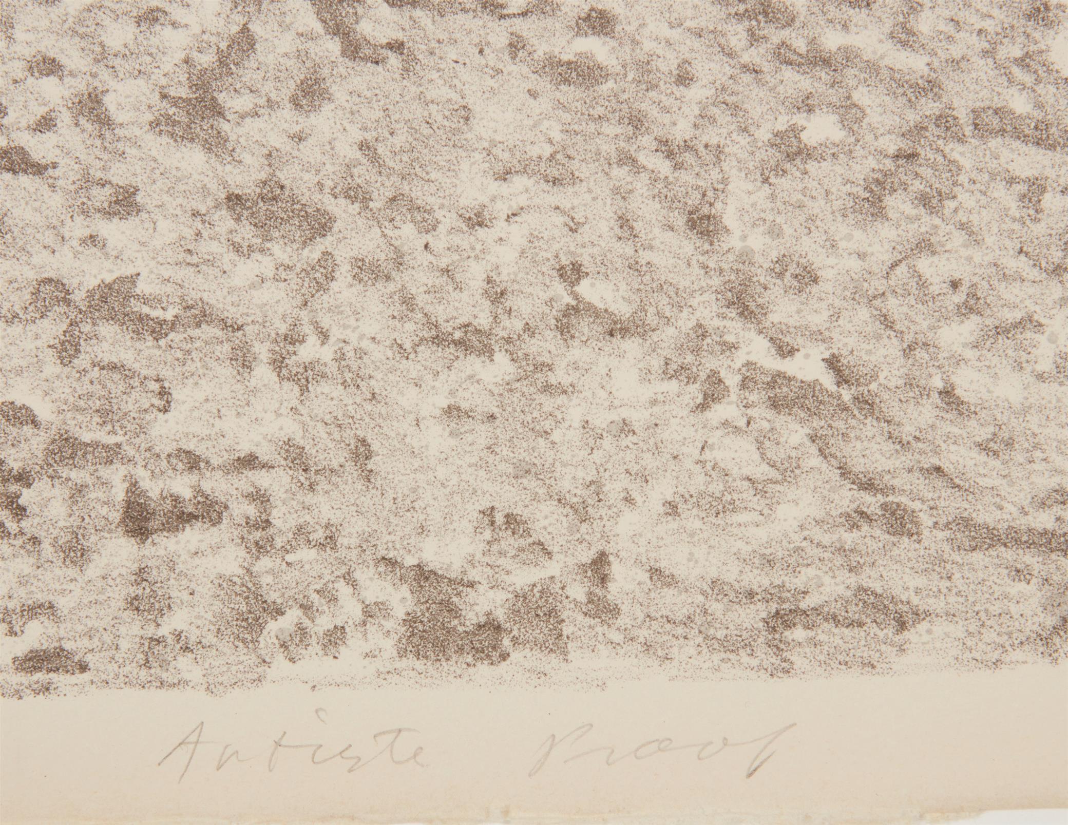 vija celmins prints