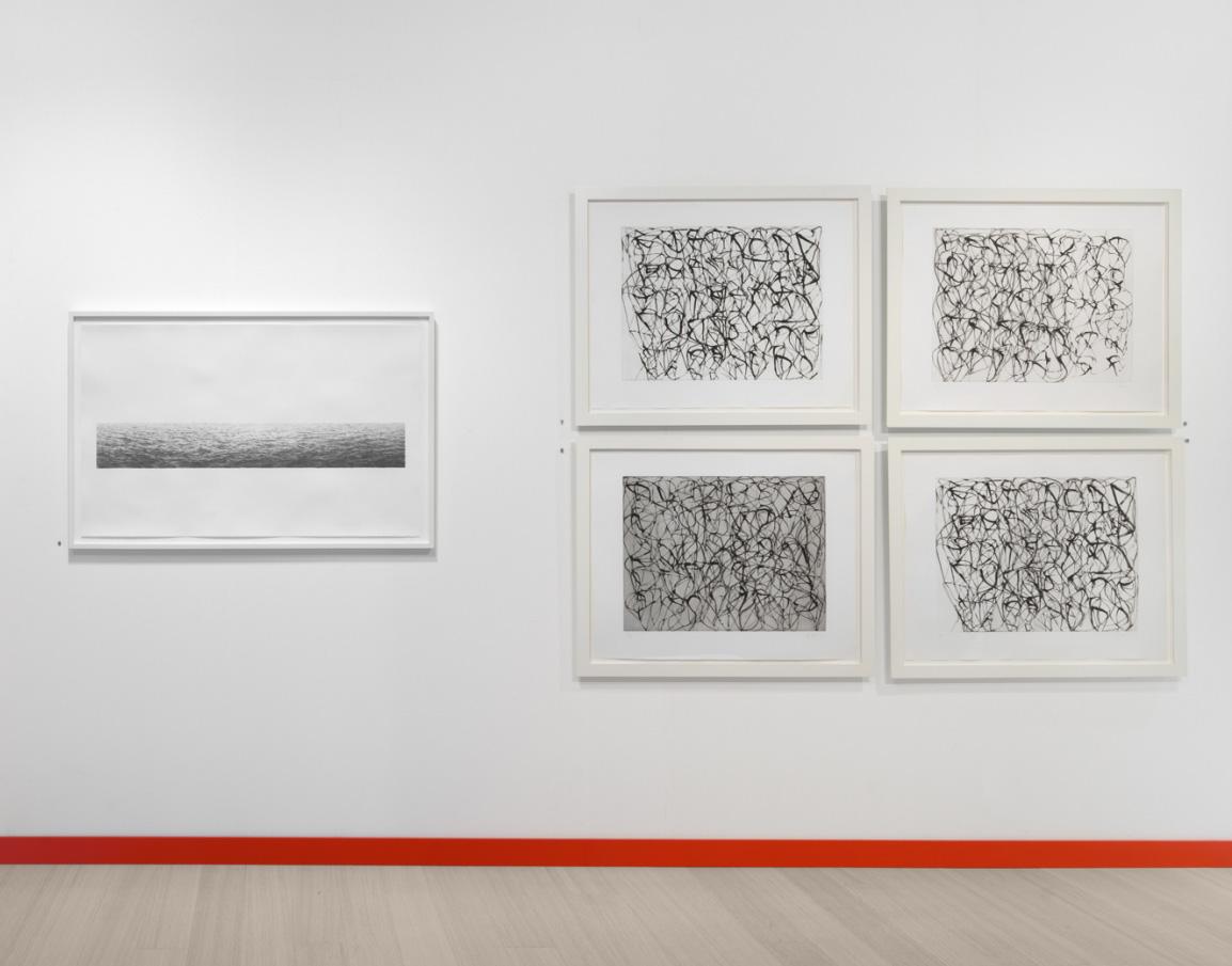 which medium did vija celmins use to create her photorealist drawing untitled ocean
