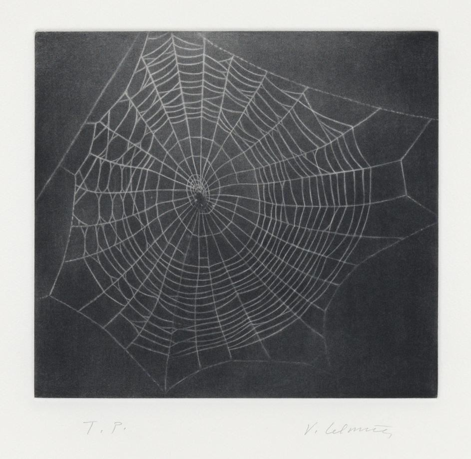 Untitled (Web 1) - Print by Vija Celmins