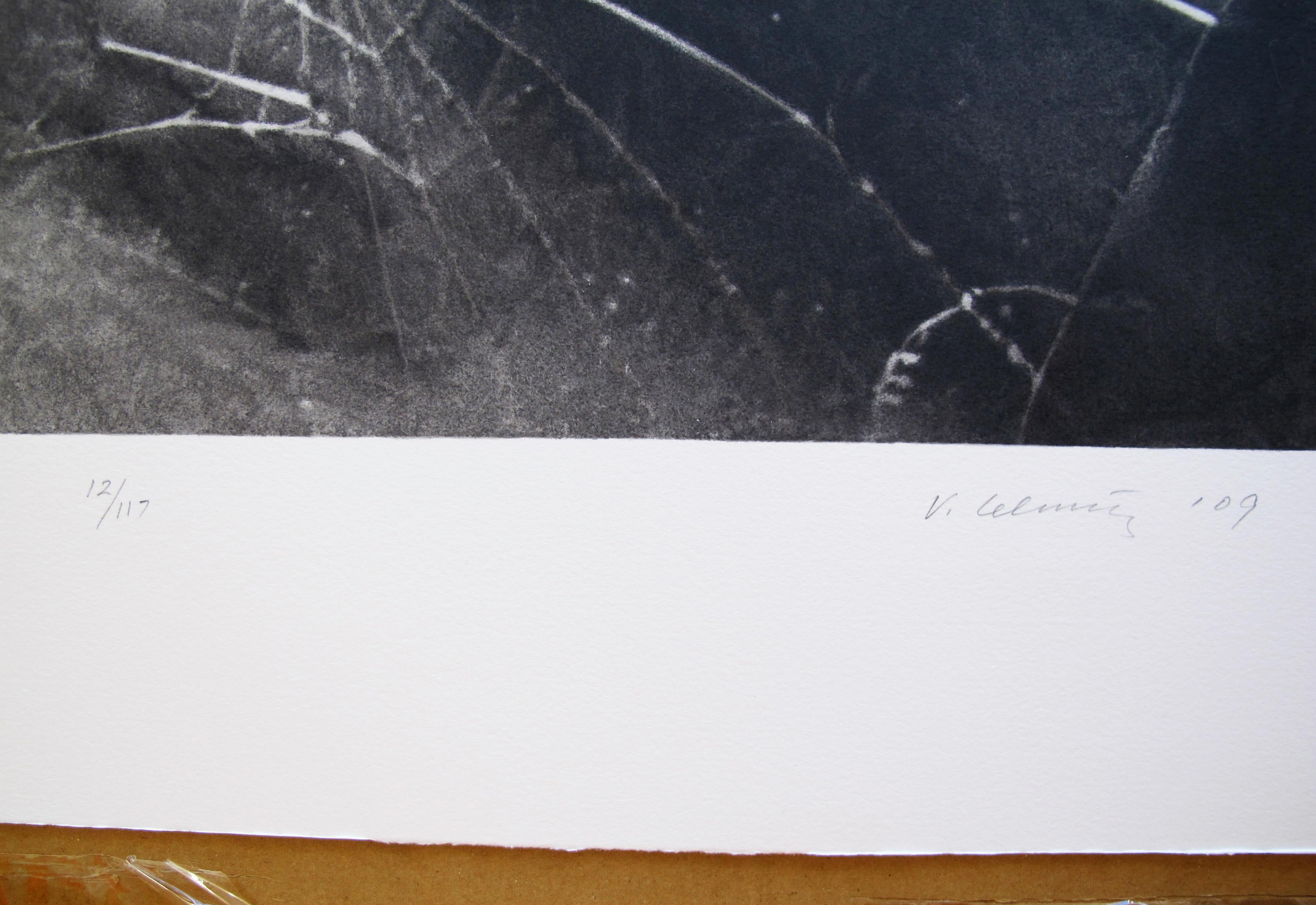 Vija Celmins, Spider Web; 2009; Screenprint; 17 1/2 x 19 inches; Edition of 117 1