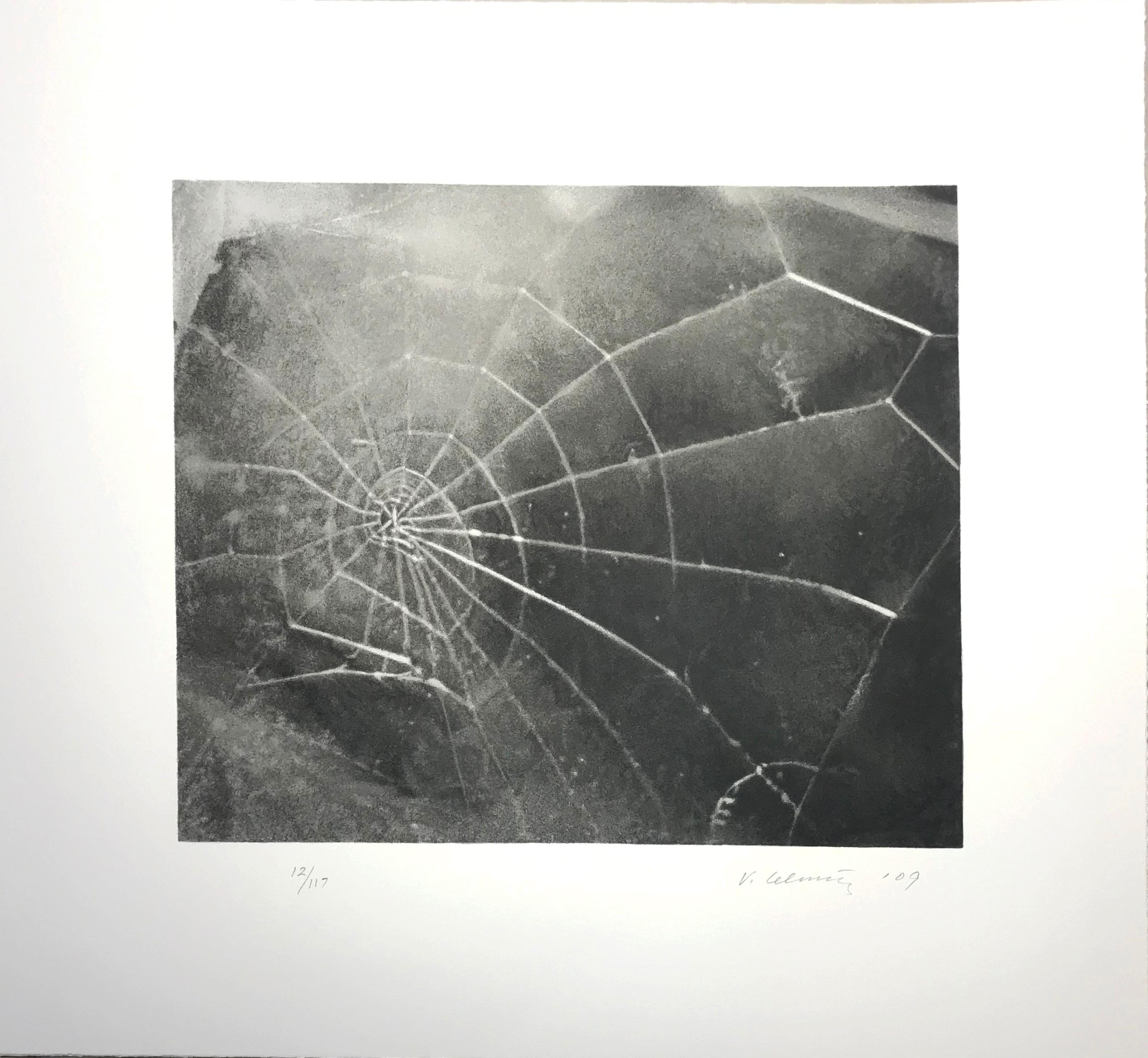Vija Celmins 
Spider Web; 2009; Screenprint; 
17 1/2 x 19 inches; Edition of 117
"Spider Web" by Vija Celmins was commissioned as part of Lincoln Center's 50th Anniversary celebration. Ms. Celmins recently received an award from the International