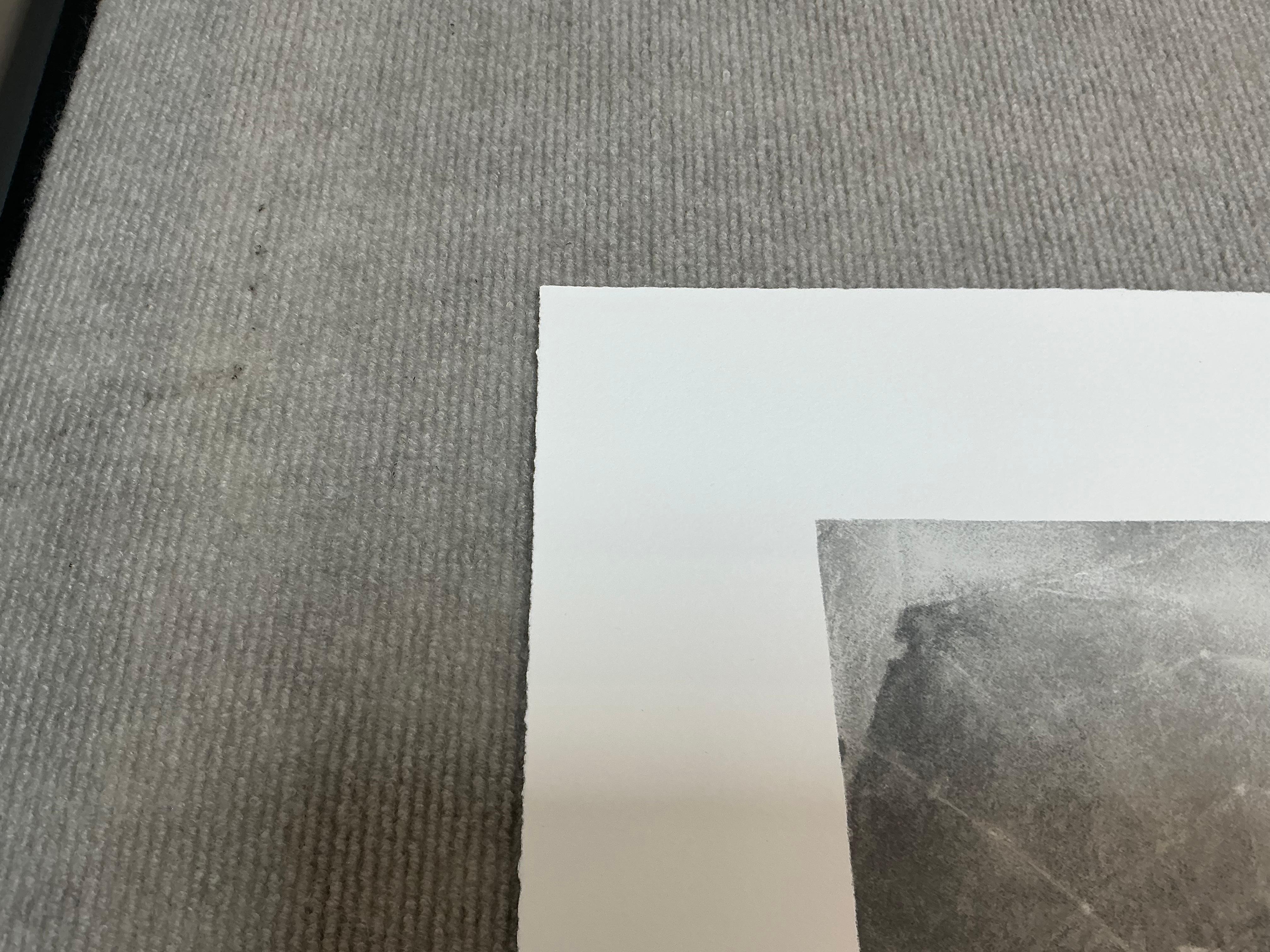 Vija Celmins   Spider Web-Hand Signed and Numbered Limited Edition For Sale 9