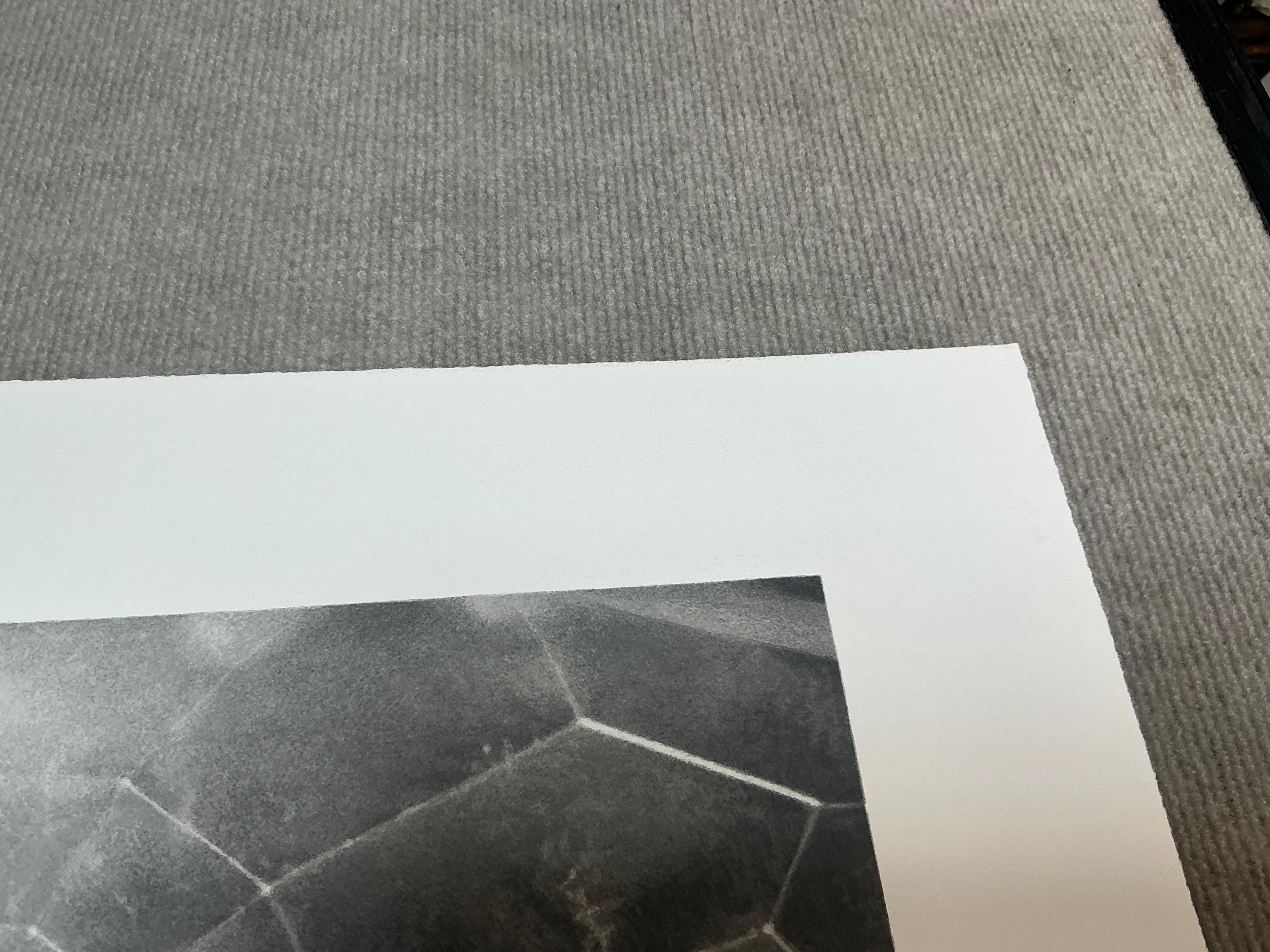 Vija Celmins   Spider Web-Hand Signed and Numbered Limited Edition For Sale 10