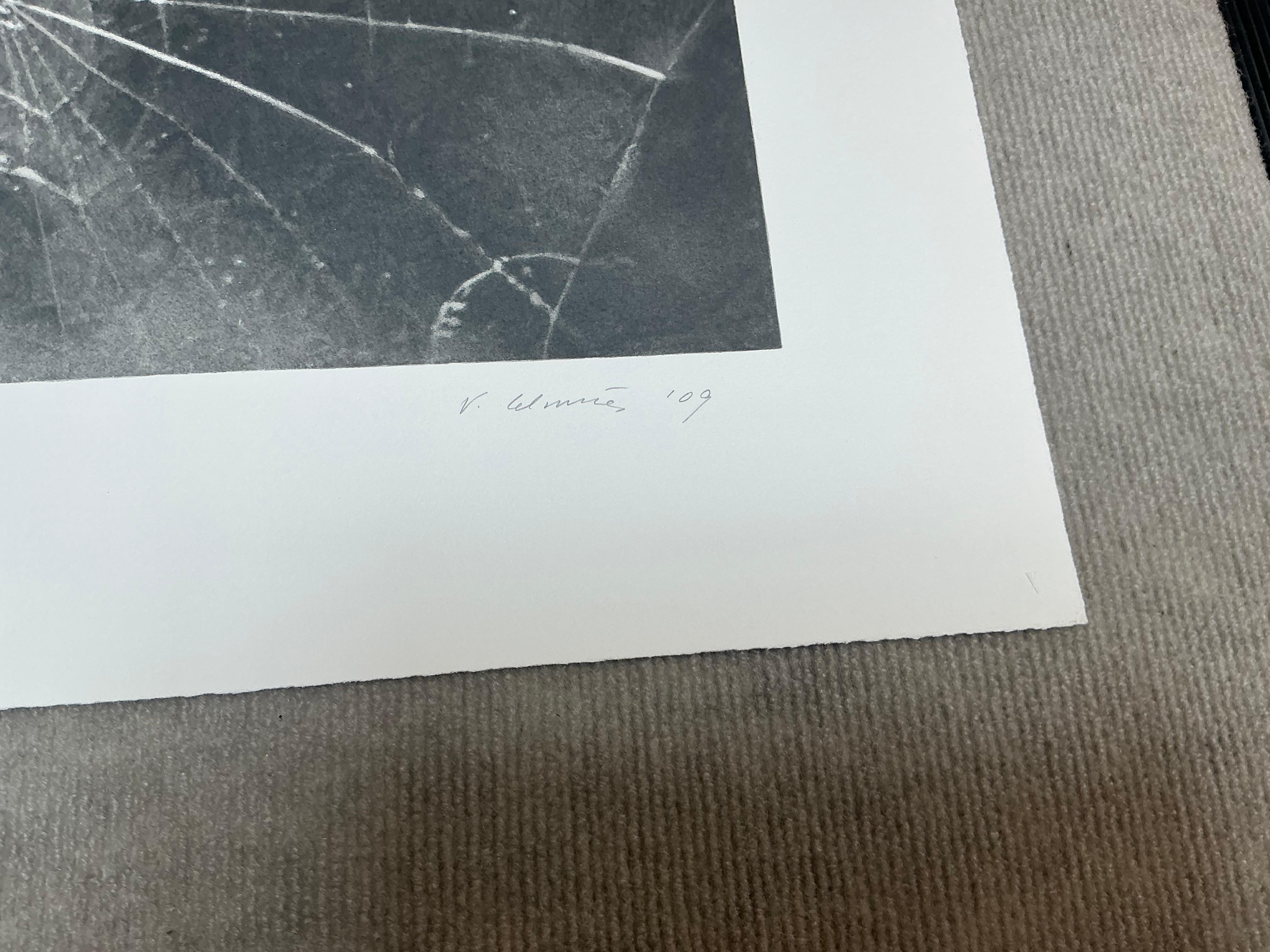 Vija Celmins   Spider Web-Hand Signed and Numbered Limited Edition For Sale 11