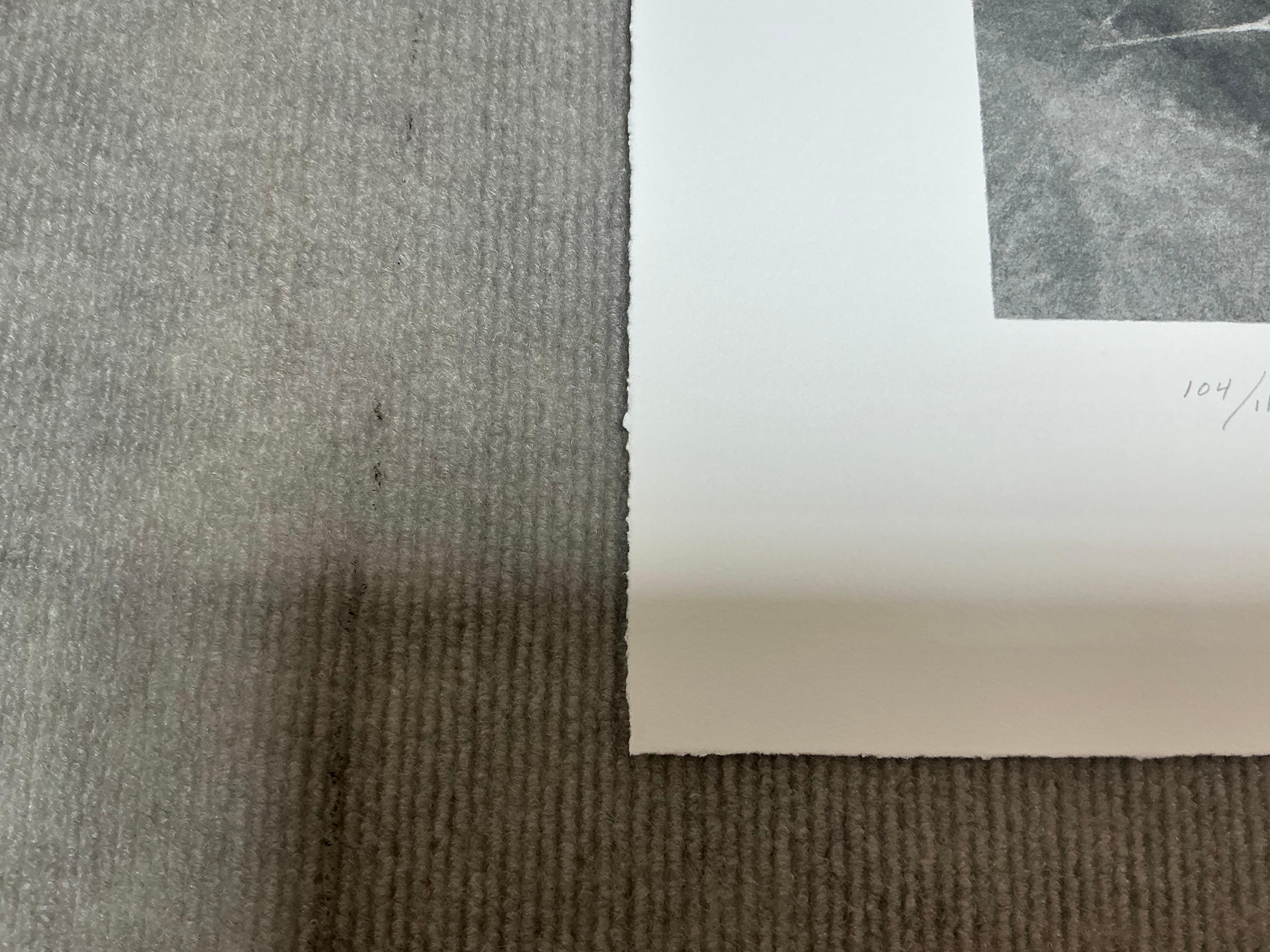 Vija Celmins   Spider Web-Hand Signed and Numbered Limited Edition For Sale 12