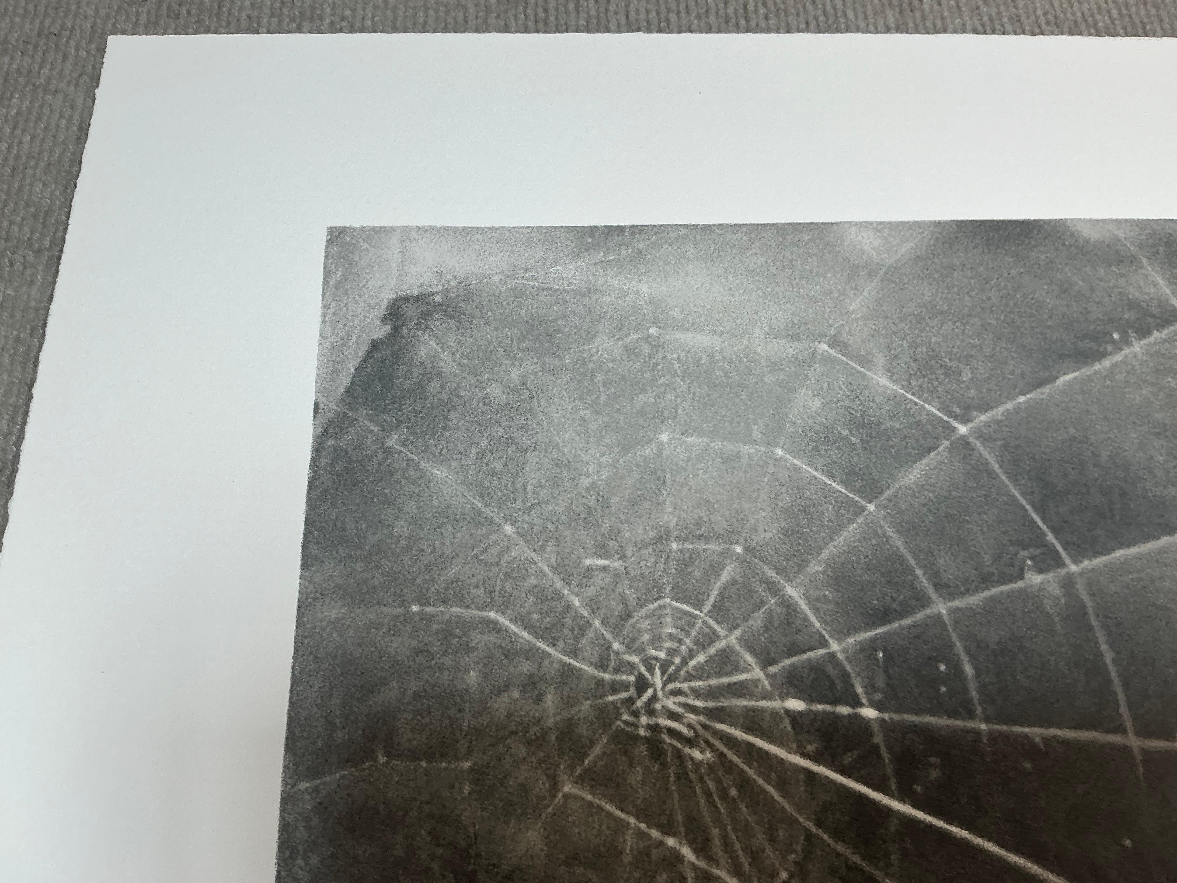 Vija Celmins   Spider Web-Hand Signed and Numbered Limited Edition For Sale 13
