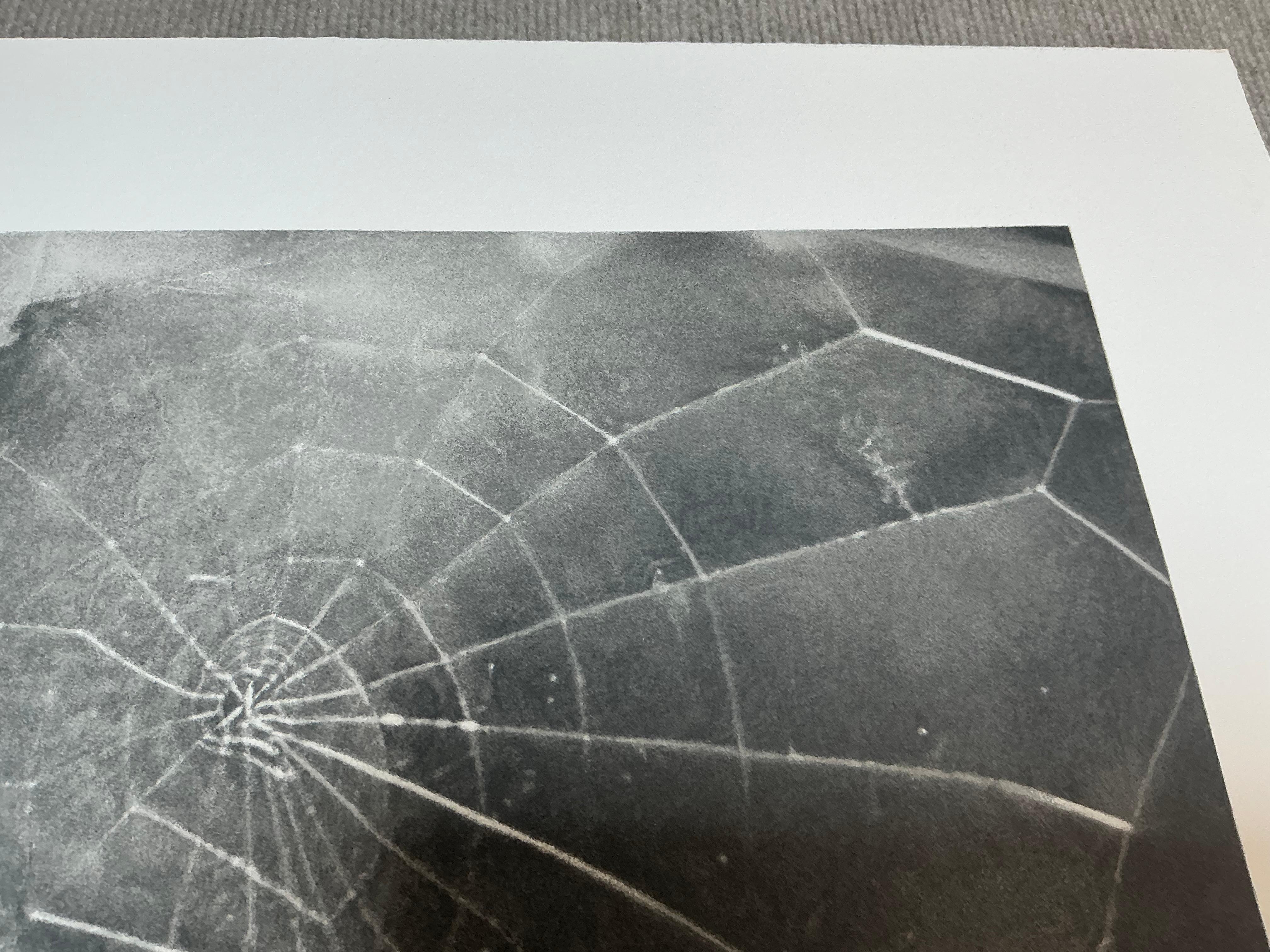 Vija Celmins   Spider Web-Hand Signed and Numbered Limited Edition For Sale 14