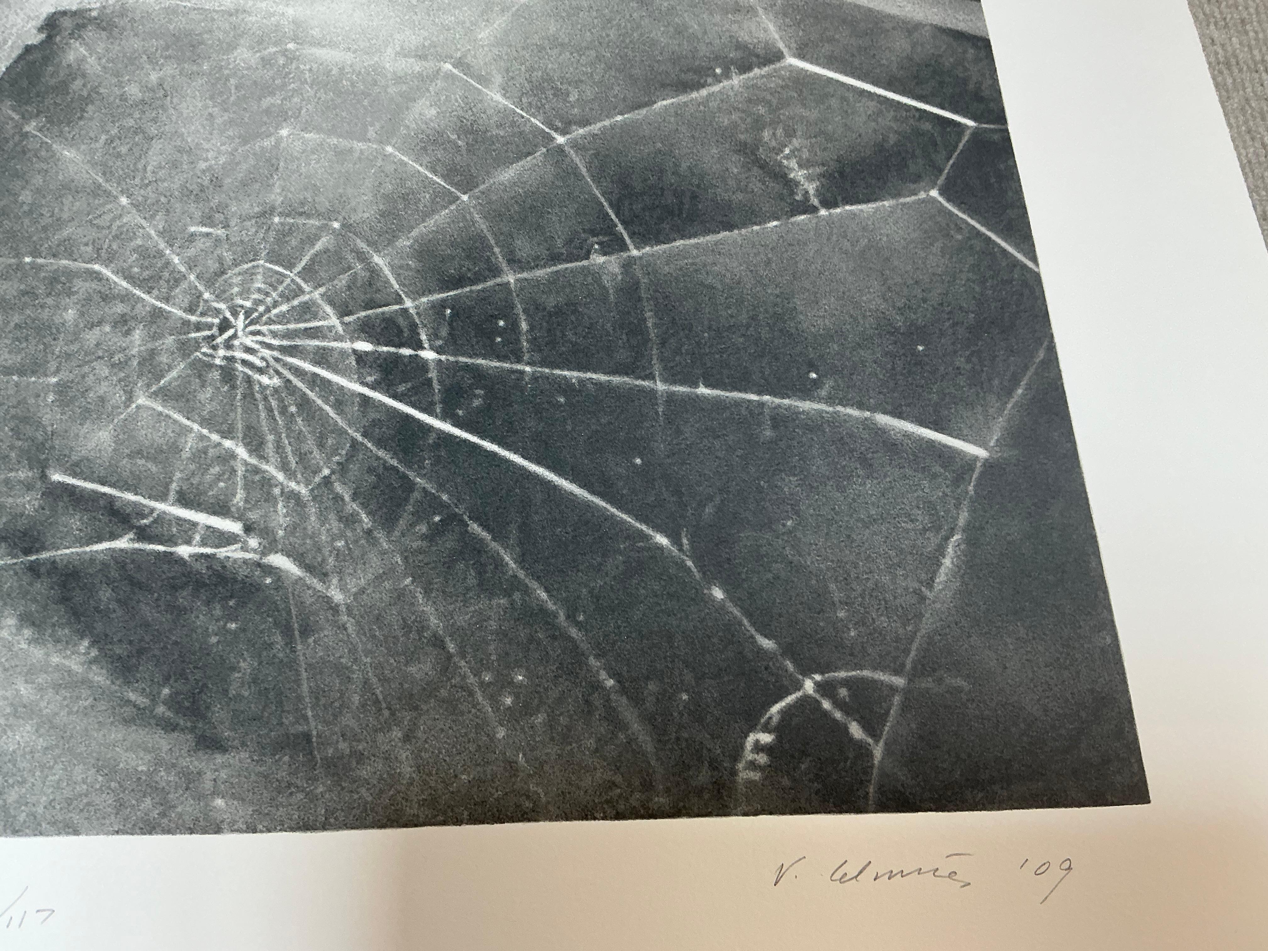 Vija Celmins   Spider Web-Hand Signed and Numbered Limited Edition For Sale 15