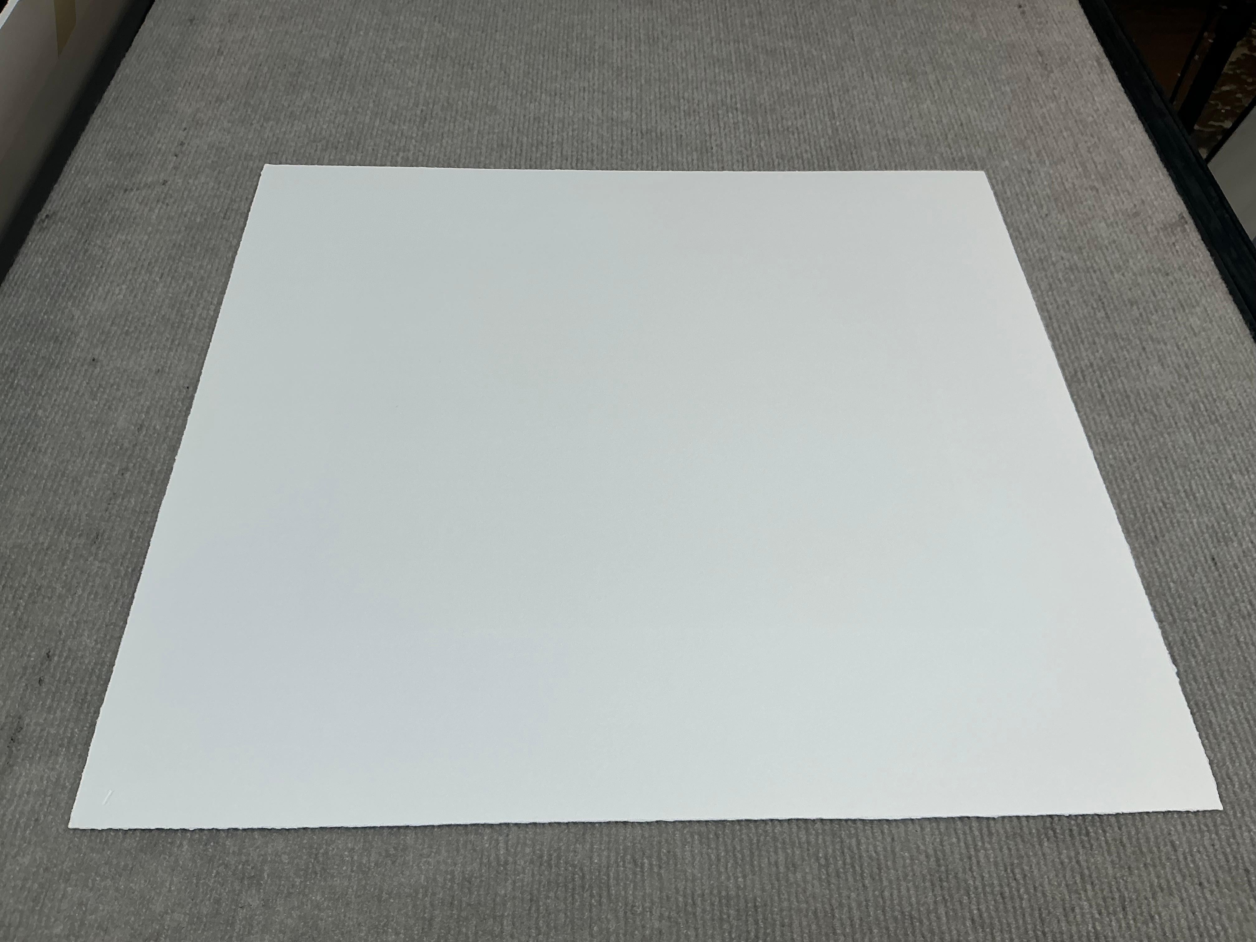 Vija Celmins   Spider Web-Hand Signed and Numbered Limited Edition For Sale 17