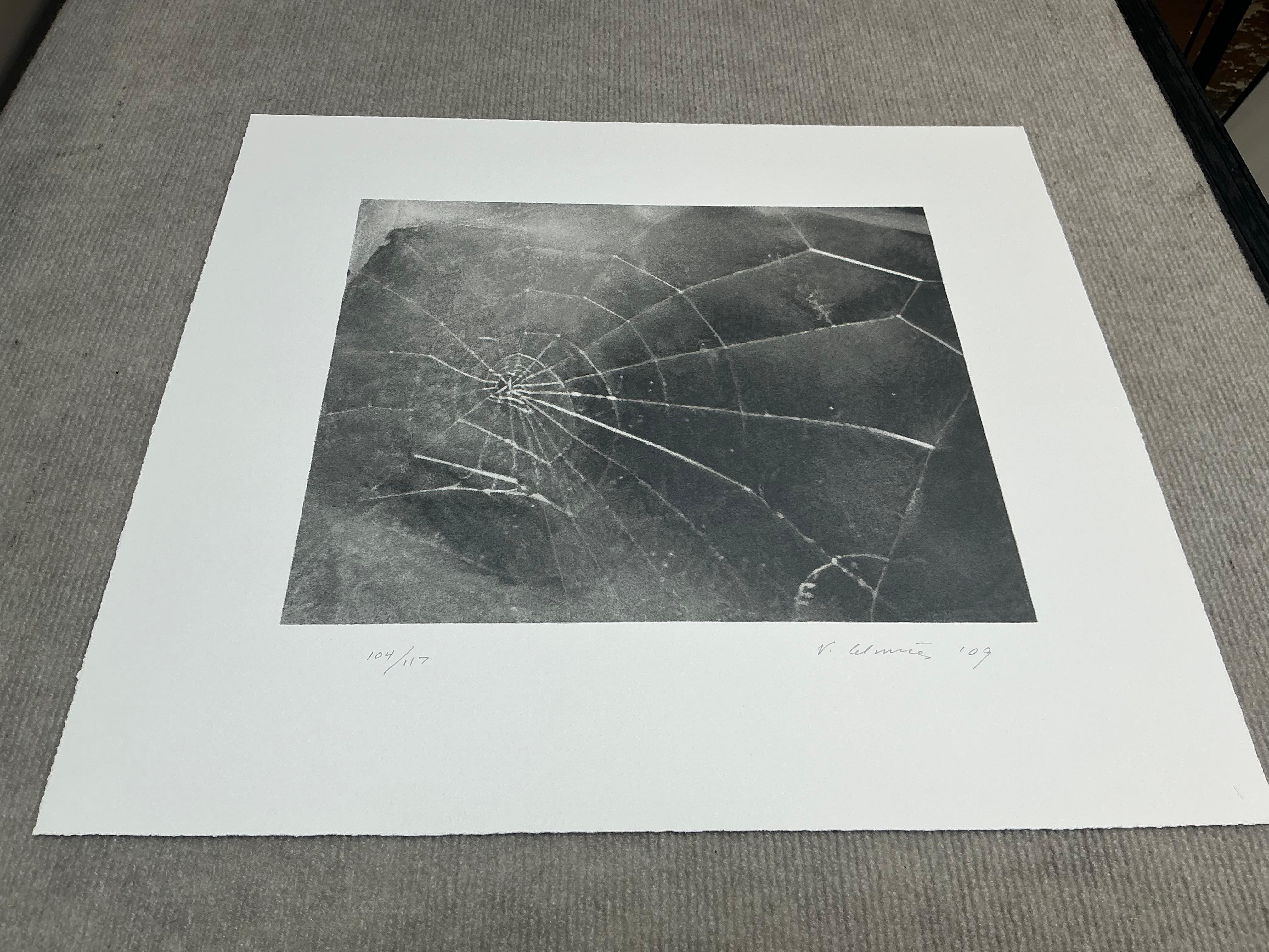 Vija Celmins   Spider Web-Hand Signed and Numbered Limited Edition For Sale 3