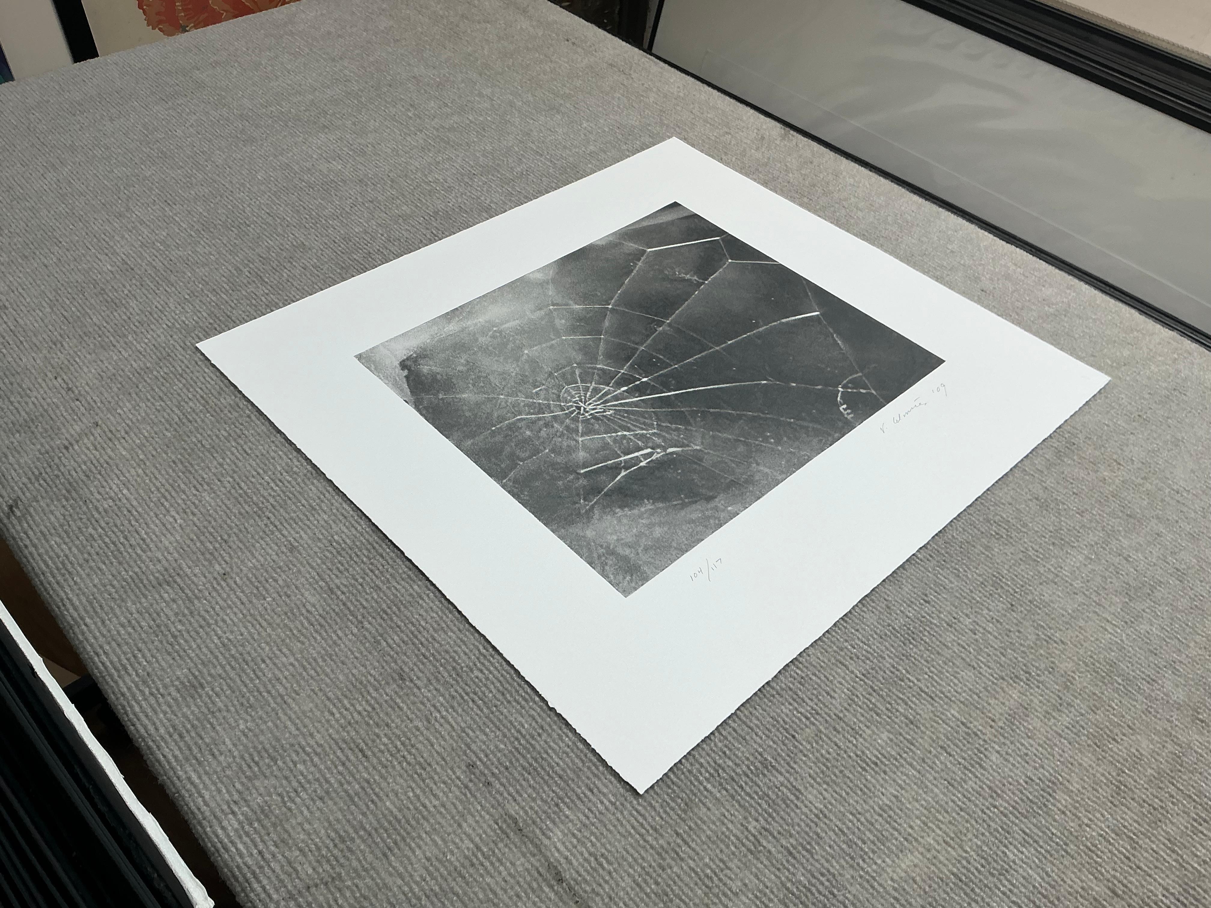 Vija Celmins   Spider Web-Hand Signed and Numbered Limited Edition For Sale 5