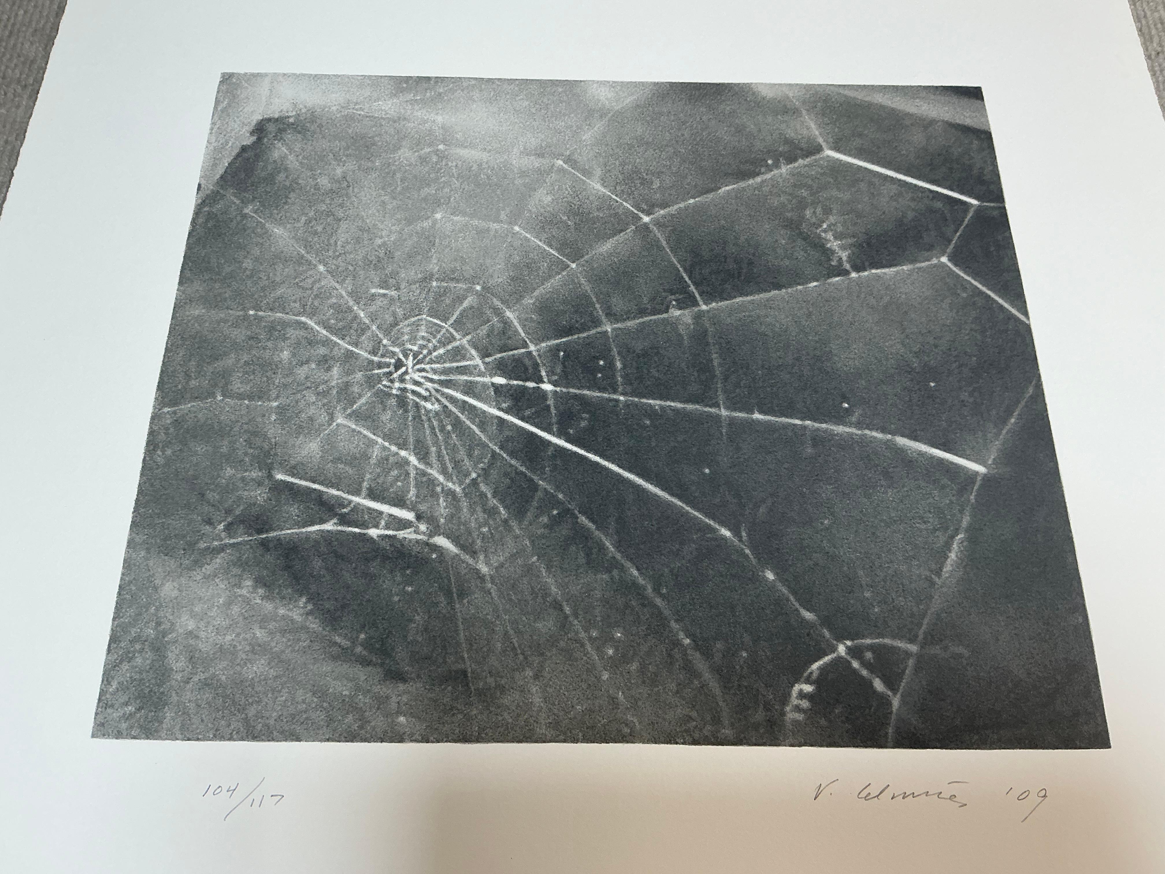 Vija Celmins   Spider Web-Hand Signed and Numbered Limited Edition For Sale 6