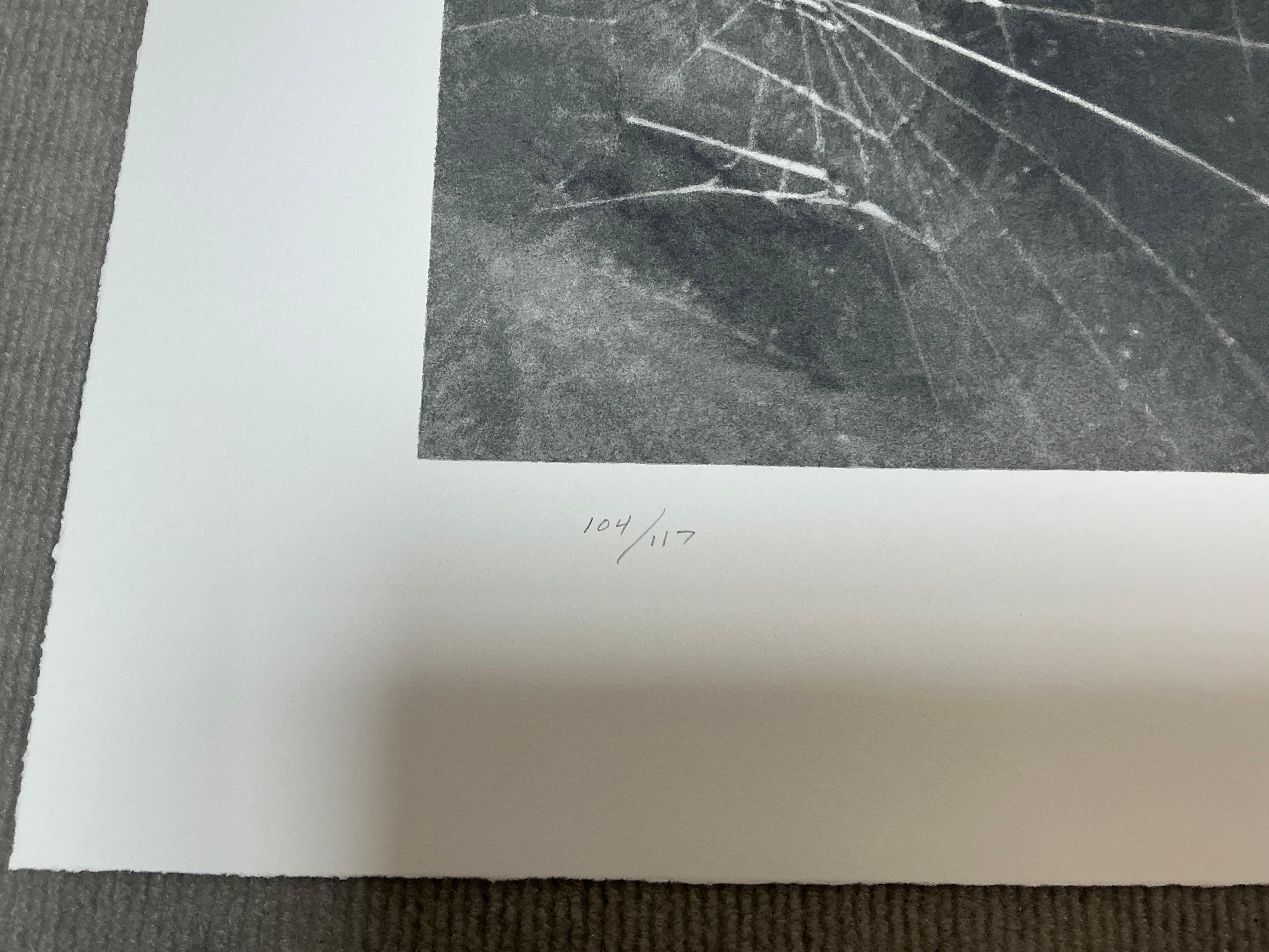Vija Celmins   Spider Web-Hand Signed and Numbered Limited Edition For Sale 7
