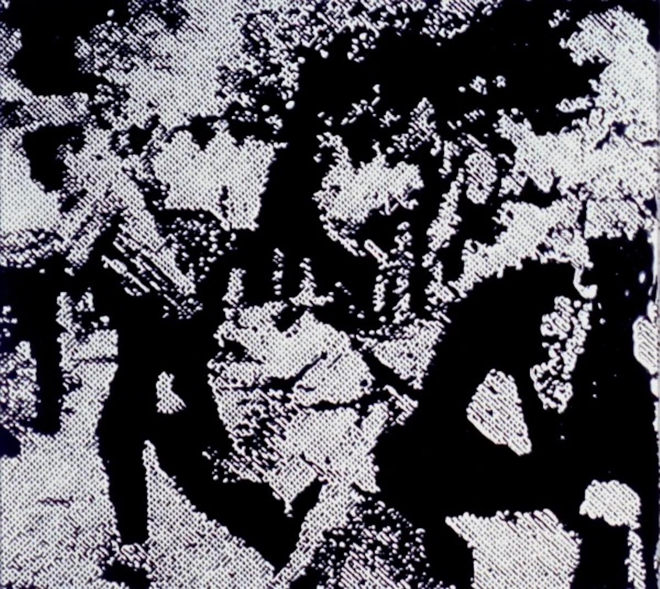 Brazilian Vik Muniz 1961 - Race Riot /After Warhol, 2001. Cibachrome color photography. For Sale