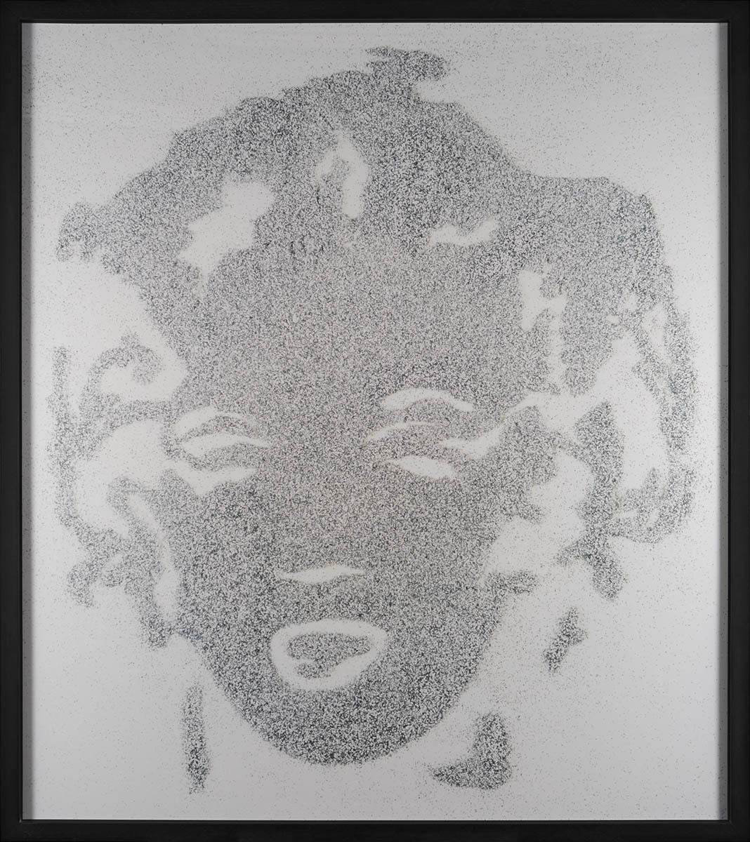 Reversal Grey Marilyn (Pictures of Diamond Dust)