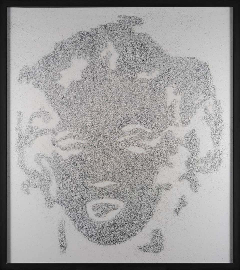 Reversal Grey Marilyn (Pictures of Diamond Dust)