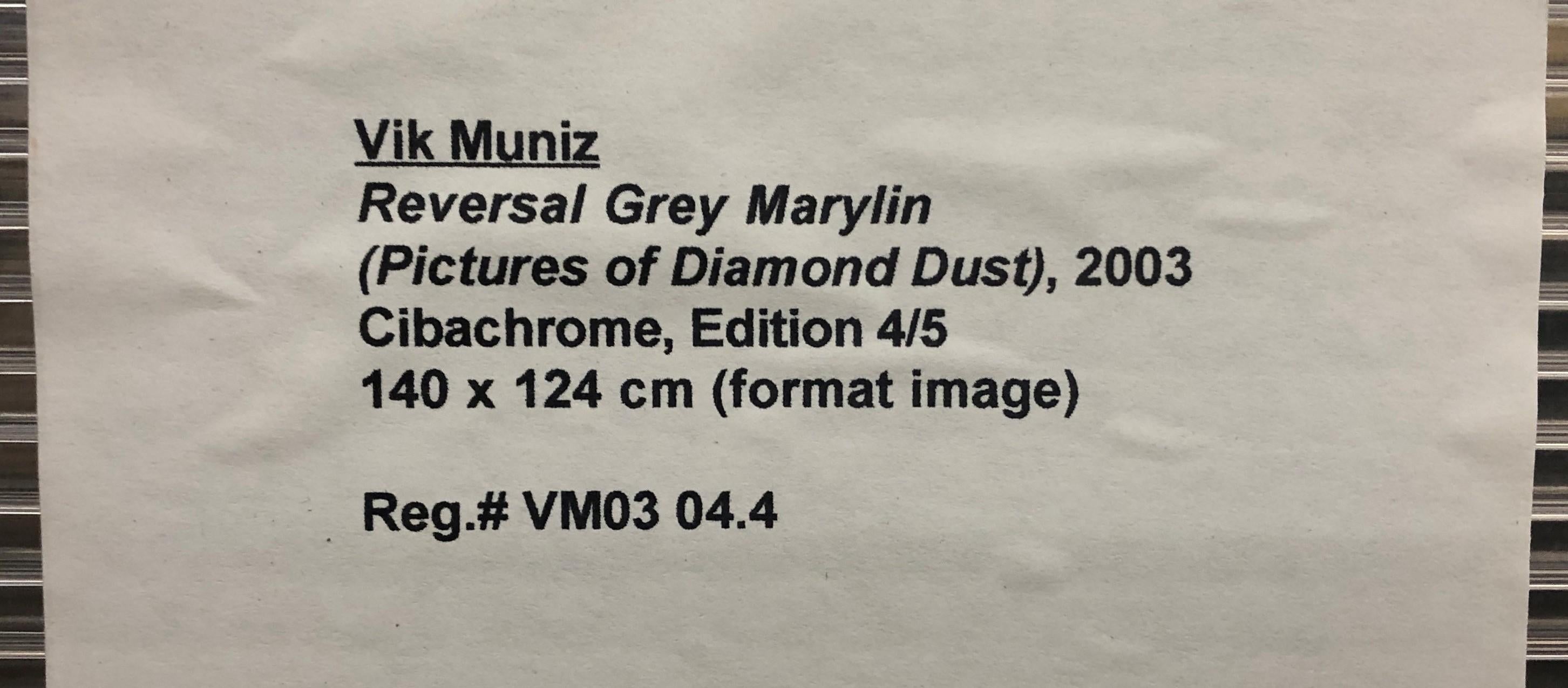 Reversal Grey Marilyn (Images de poussière de diamant) en vente 1