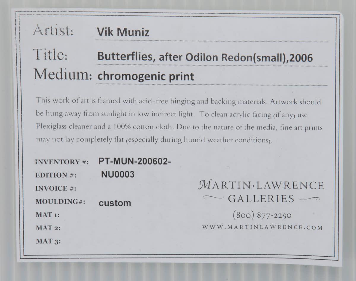 Butterflies, after Odilon Redon - Gray Abstract Print by Vik Muniz