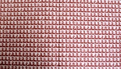 Vik Muniz : Reflex : A Vik Muniz Primer par Lesley Martin, Stated 1st Ed