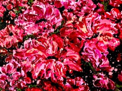 Melodía del despertar // Impresionismo pintura al óleo impasto / flores / firmado.