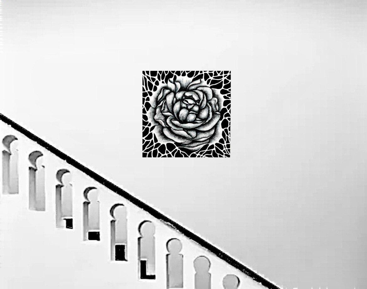 Wi-Fi / Abstrakt / Schwarz-Weiß-Blumen-/Blumenmalerei. im Angebot 6