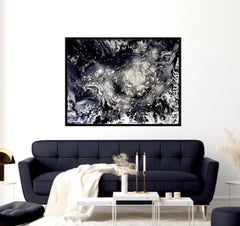 Winter Flower / Published in Art book CELEBRITY MASTERS /Abstract monochrome..