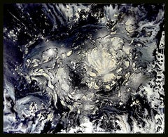 Winter Flower / Published in Art book CELEBRITY MASTERS /Abstract monochrome..