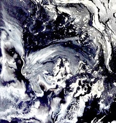 Winter Flower / Published in Art book CELEBRITY MASTERS /Abstract monochrome.