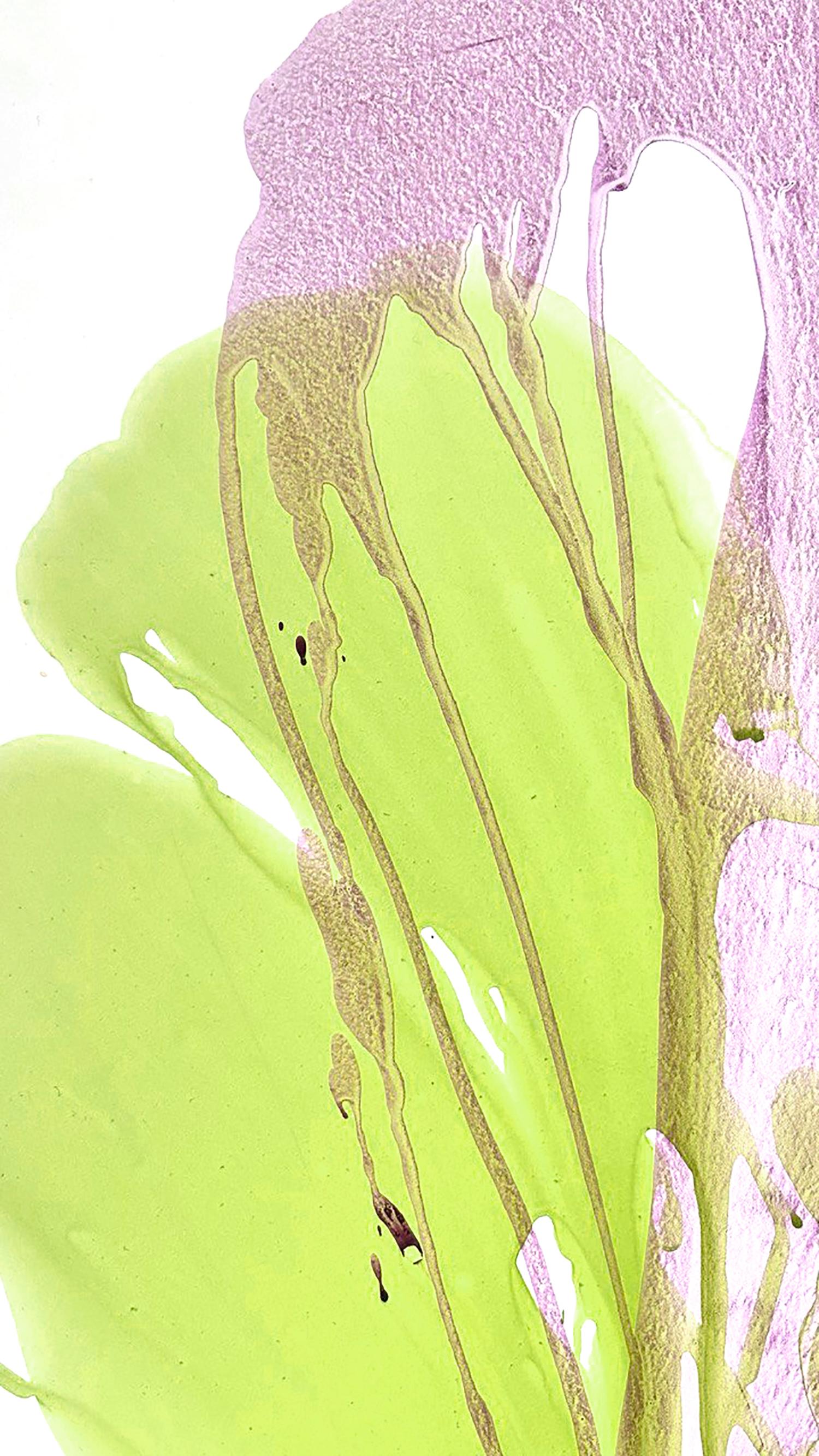 Nothing superfluous. Floral Abstraction, acylic painting by Vika Flartina For Sale 5