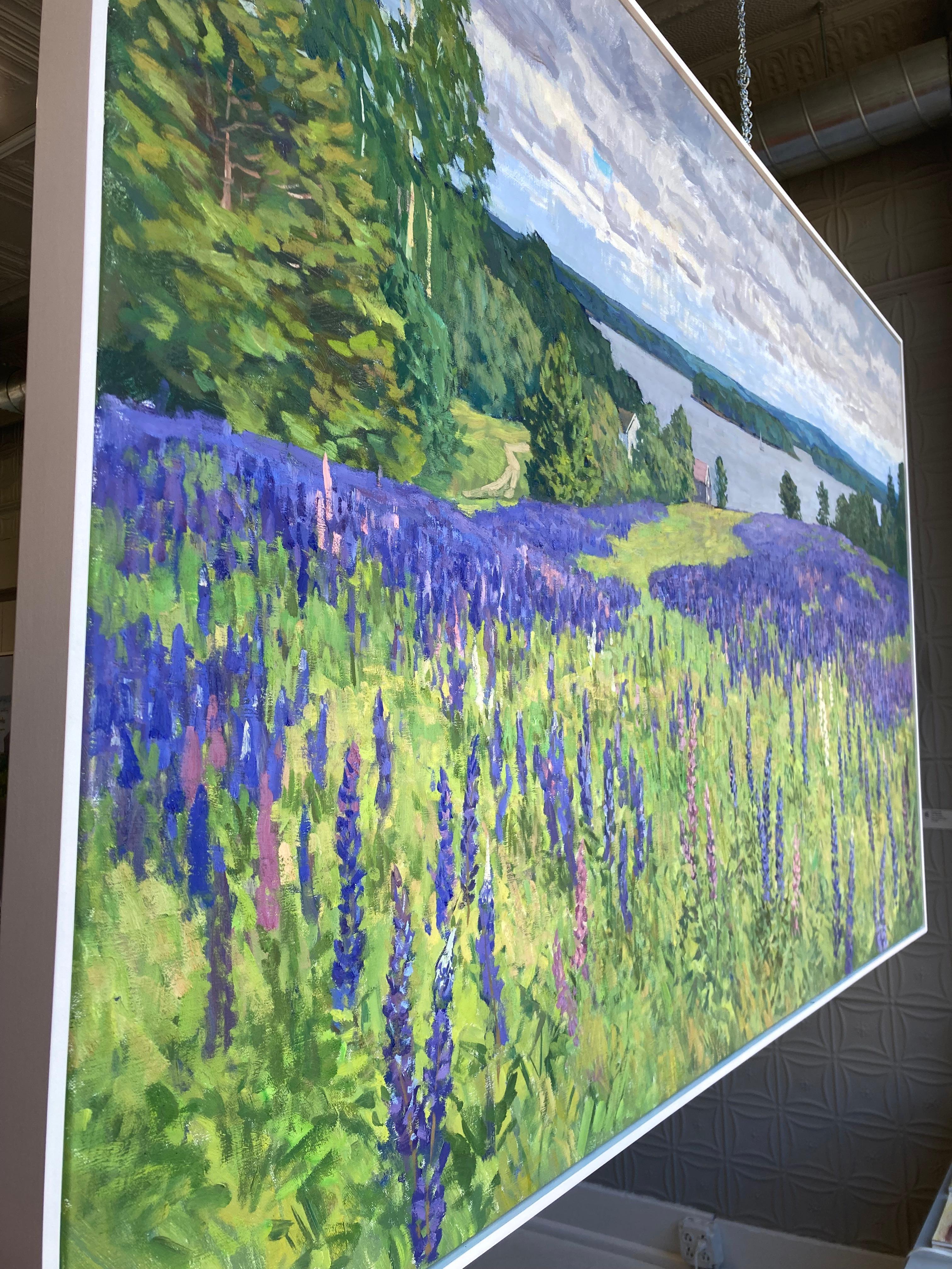 Inizio estate - 2023, paesaggio impressionista, lupini viola e paesaggio marino 1