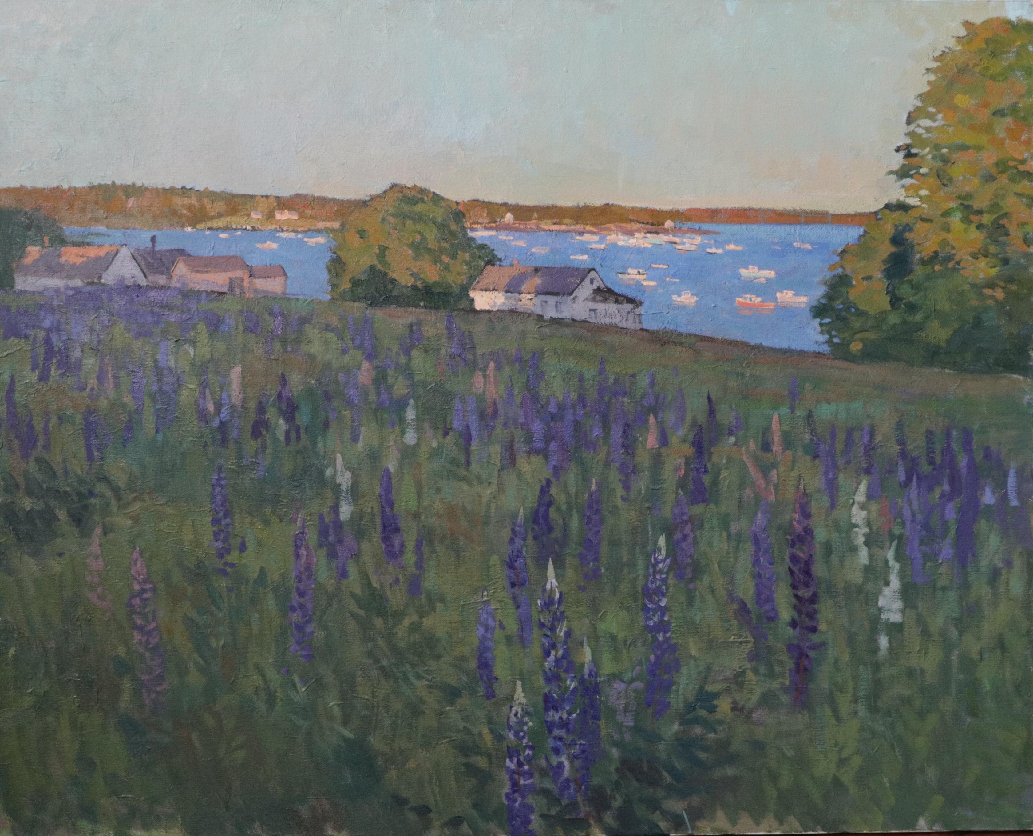 Golden Hour over the Harbor - Lupines oil painting done en plein air in Maine