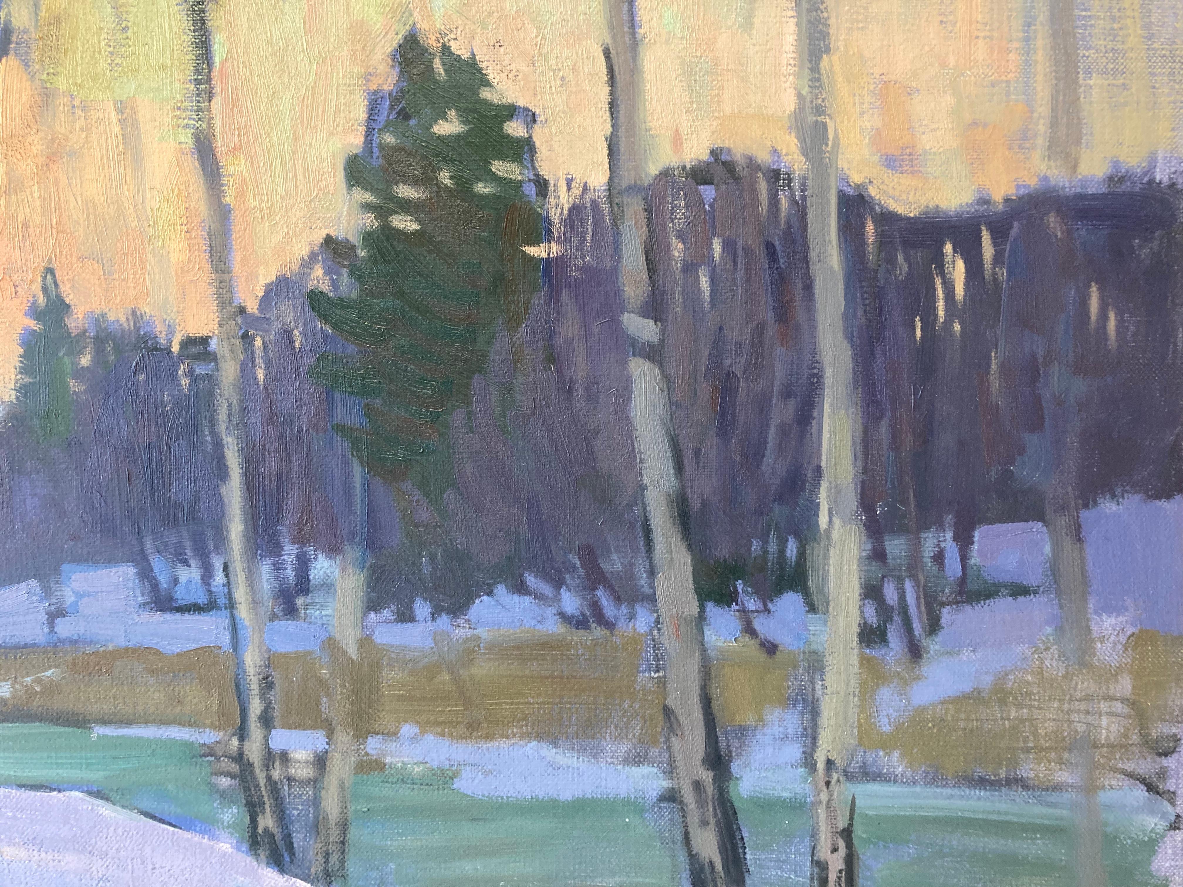 Sunset on Silver Pond, Diptych 1