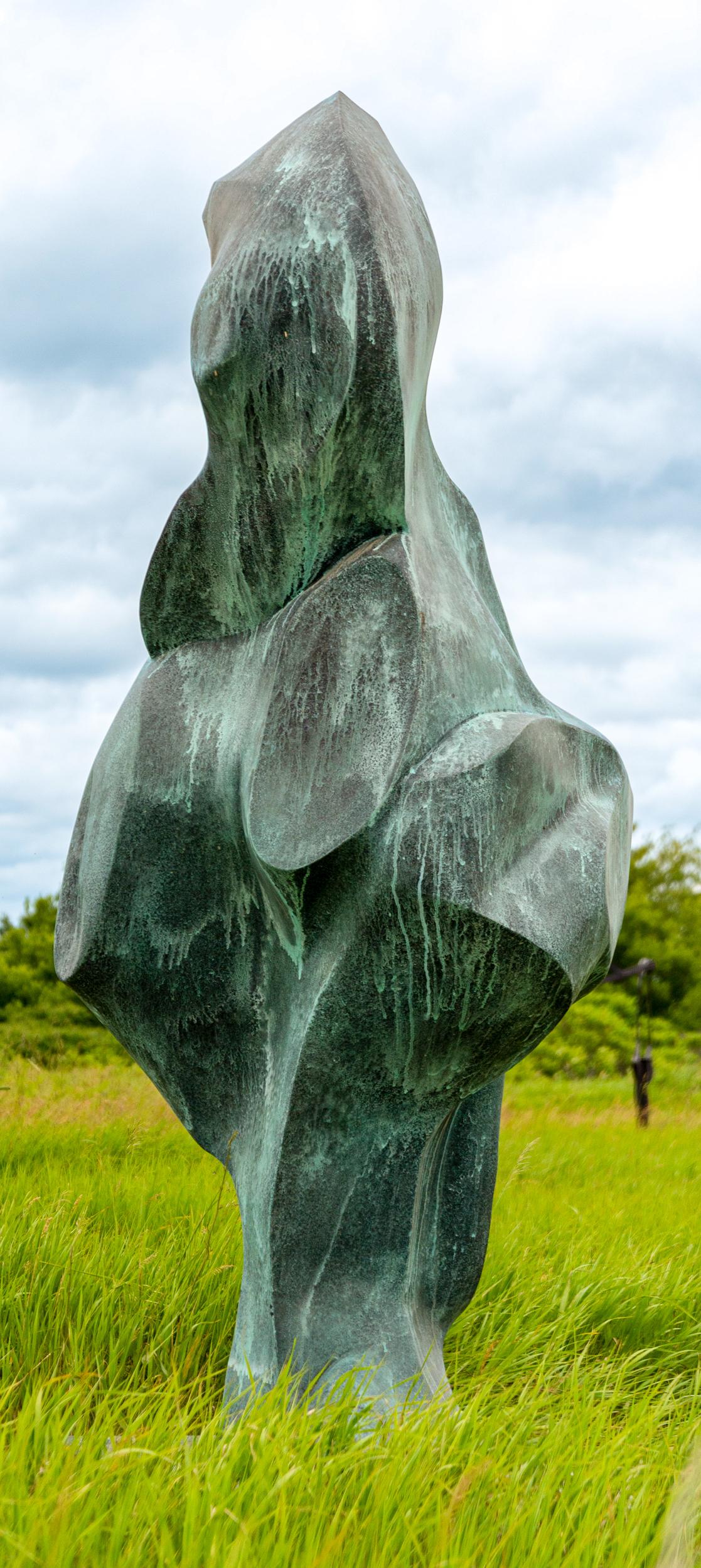Cygnus A - zeitgenössische, abstrakte Bronzeskulptur für den Außenbereich (Zeitgenössisch), Sculpture, von Viktor Mitic
