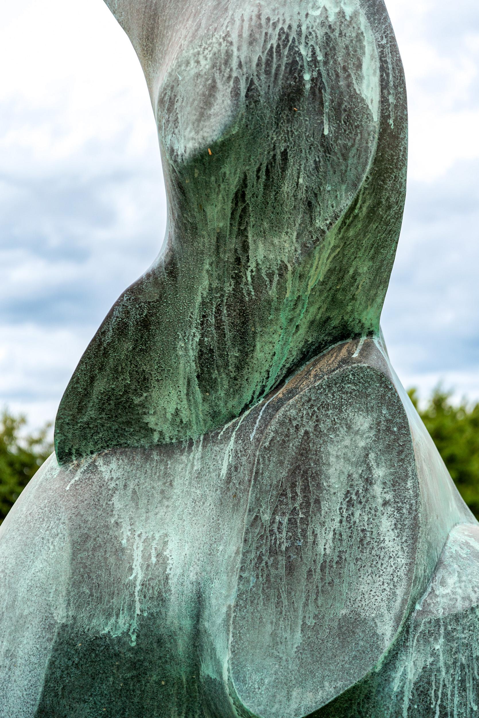 Cygnus A - zeitgenössische, abstrakte Bronzeskulptur für den Außenbereich im Angebot 4