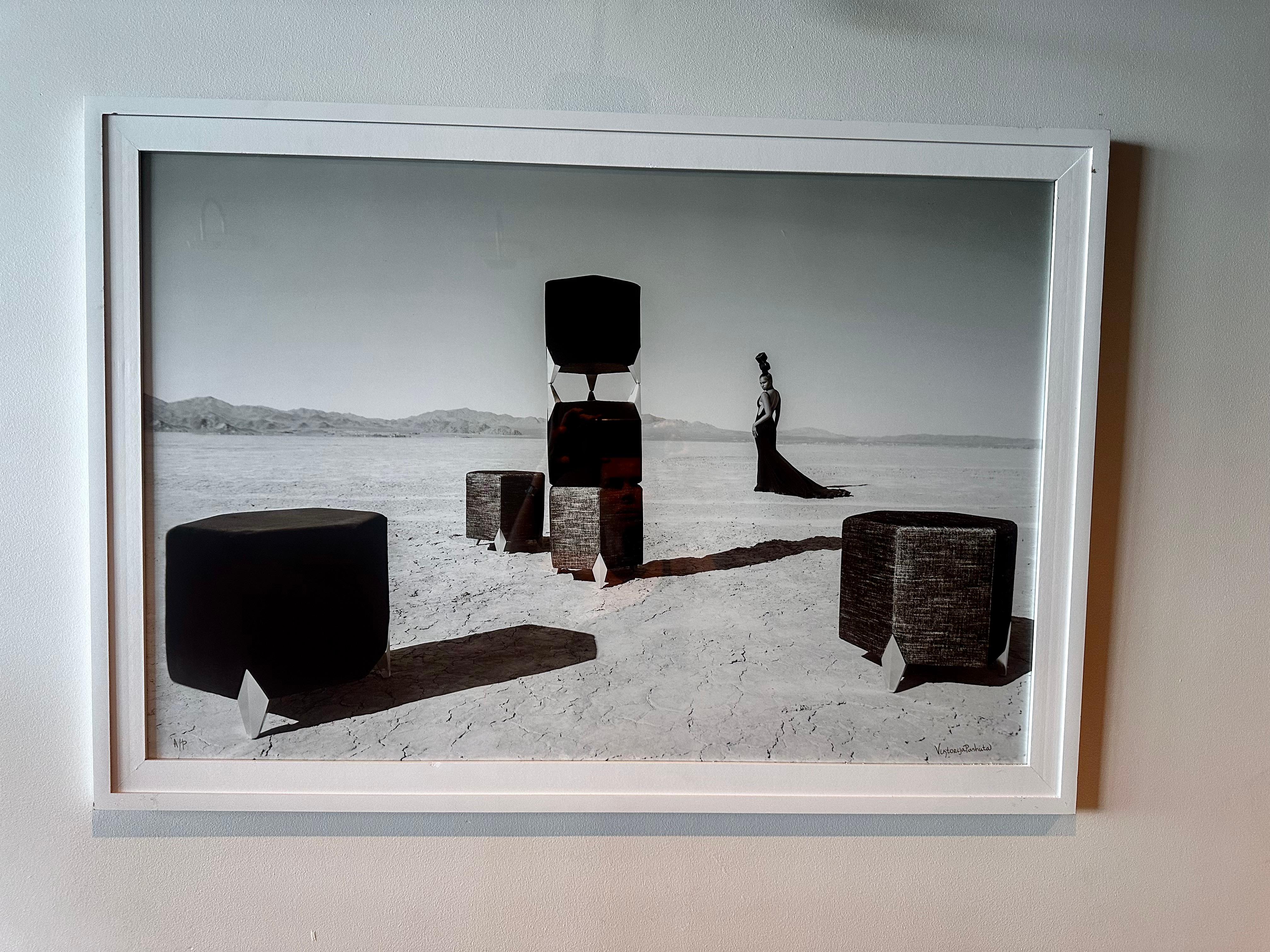 Photographie Paradigm (FRAMÉE) 24