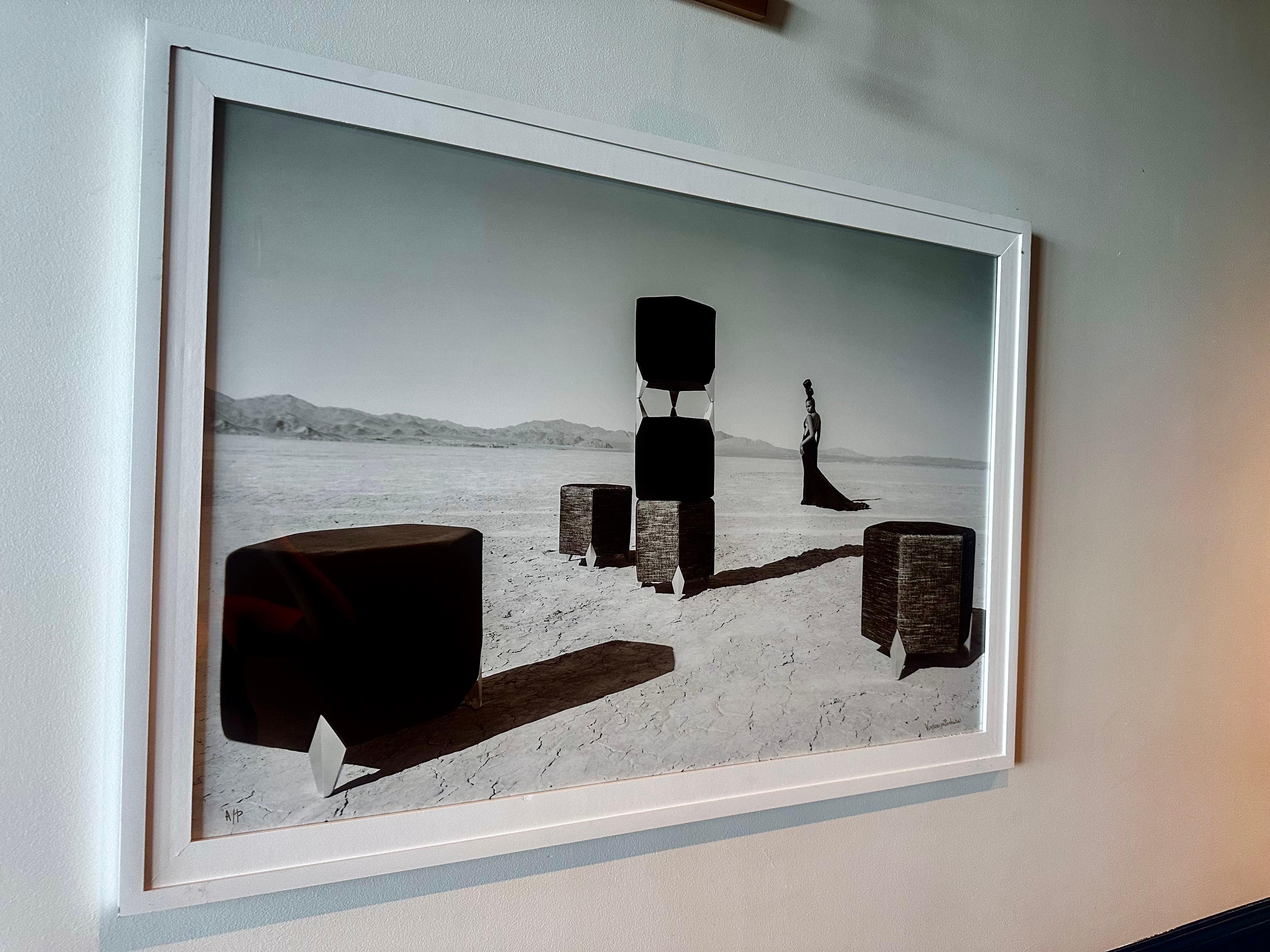 Photographie Paradigm (FRAMÉE) 24