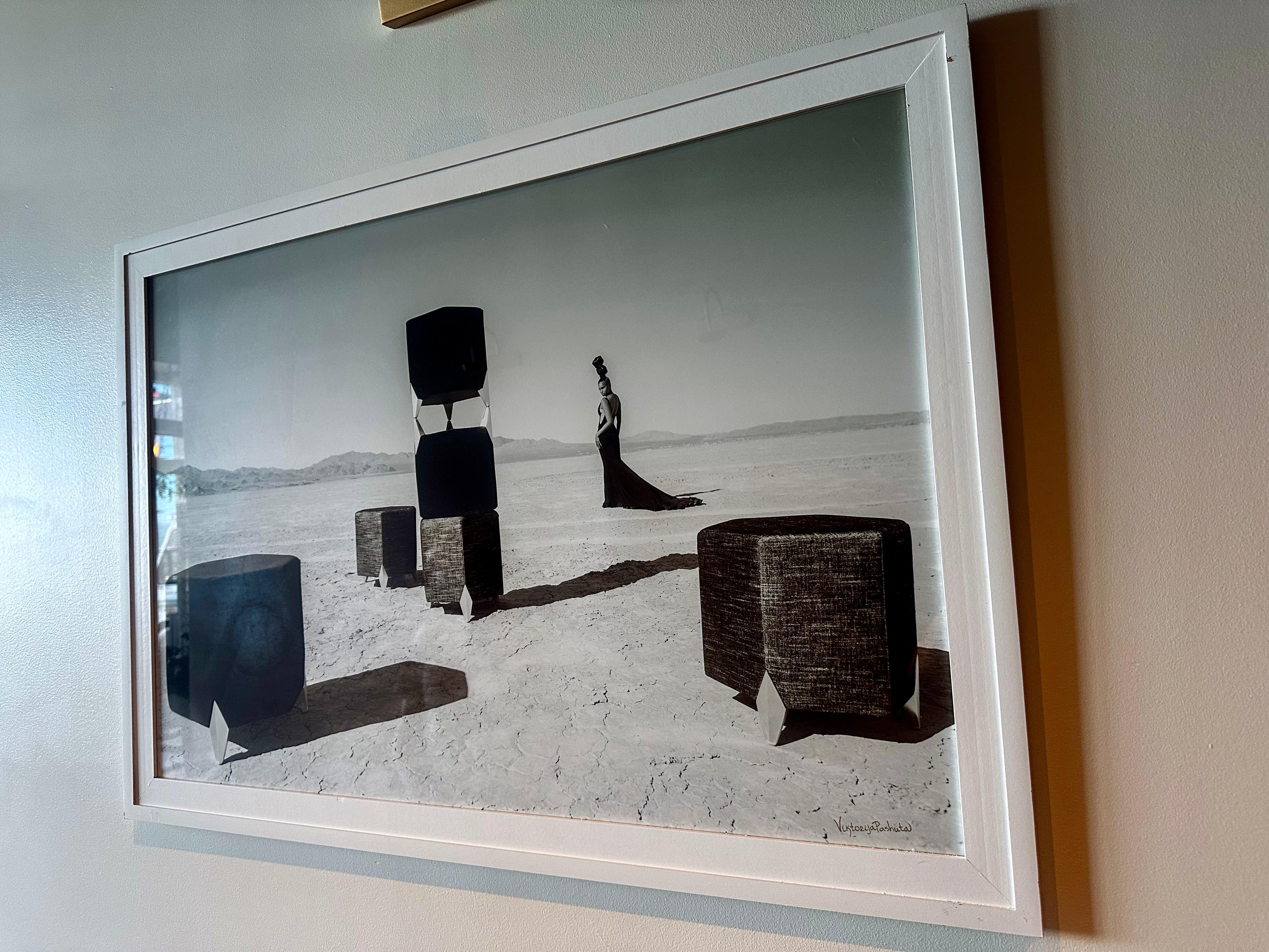 Photographie Paradigm (FRAMÉE) 24