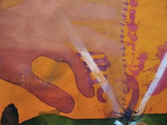 Concerto irregolare