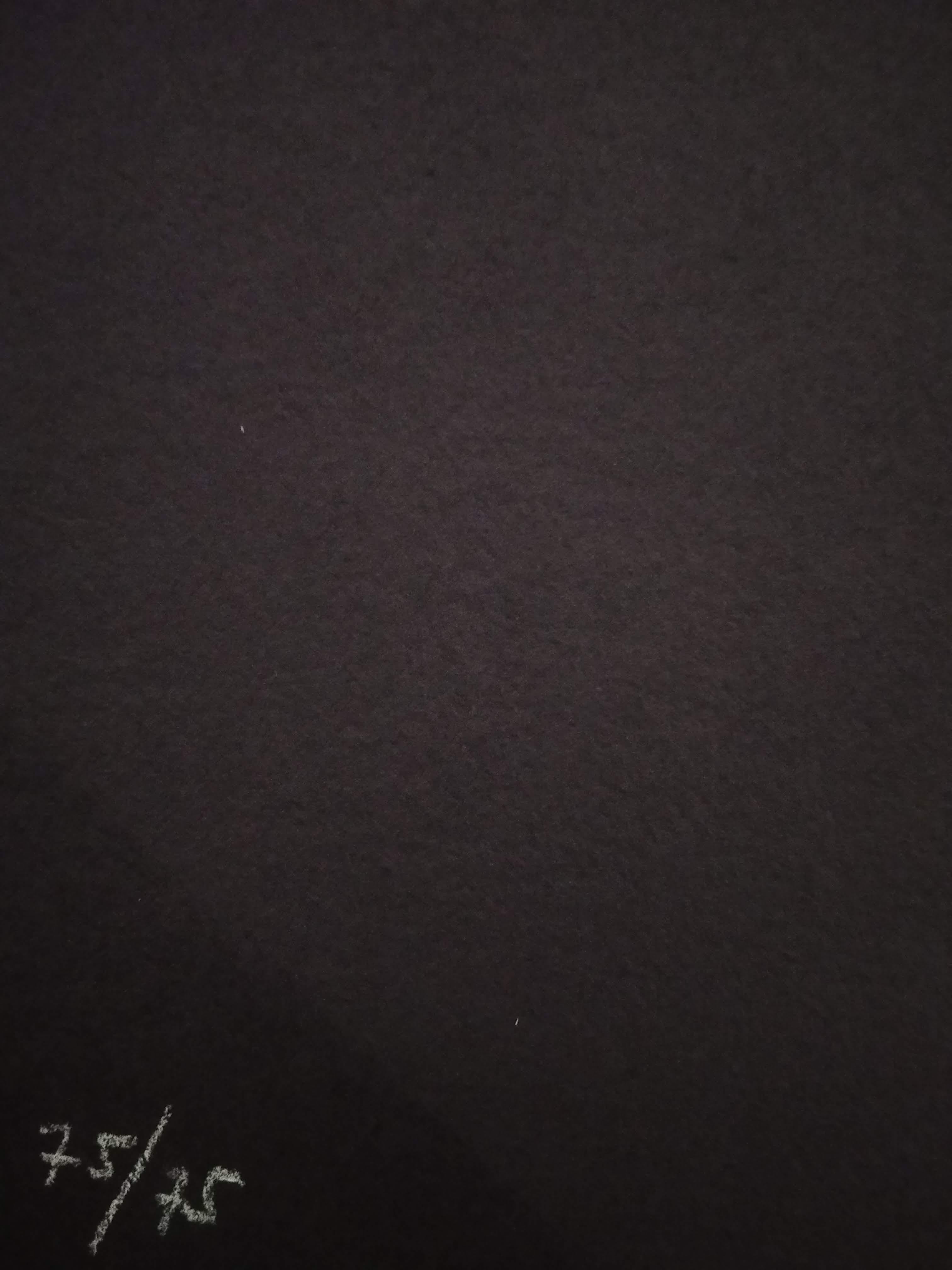 Untitled - Black Animal Print by Viladecans, Joan Pere