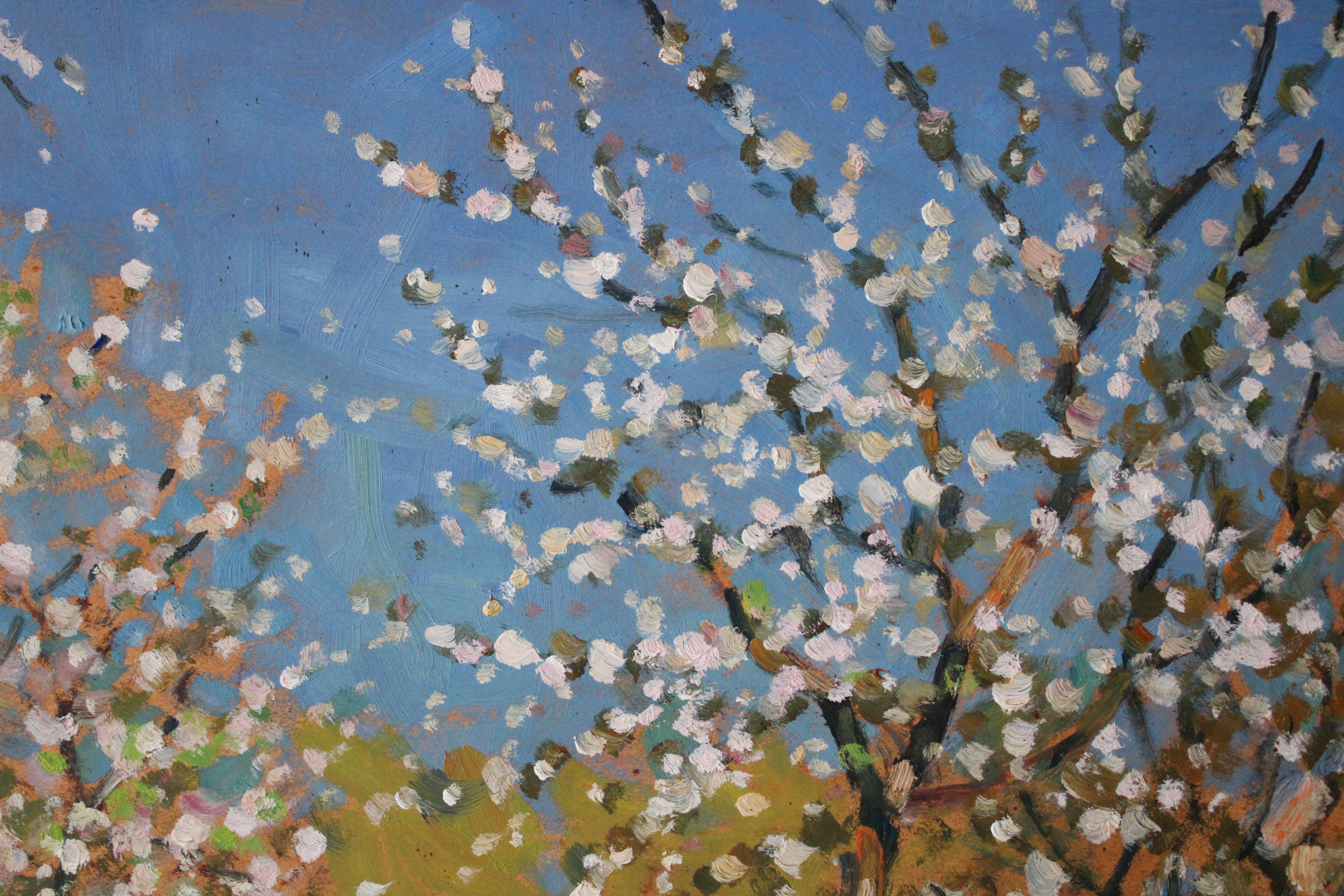 Blossoming apple trees. Cardboard, oil, 51.5x72 cm For Sale 2