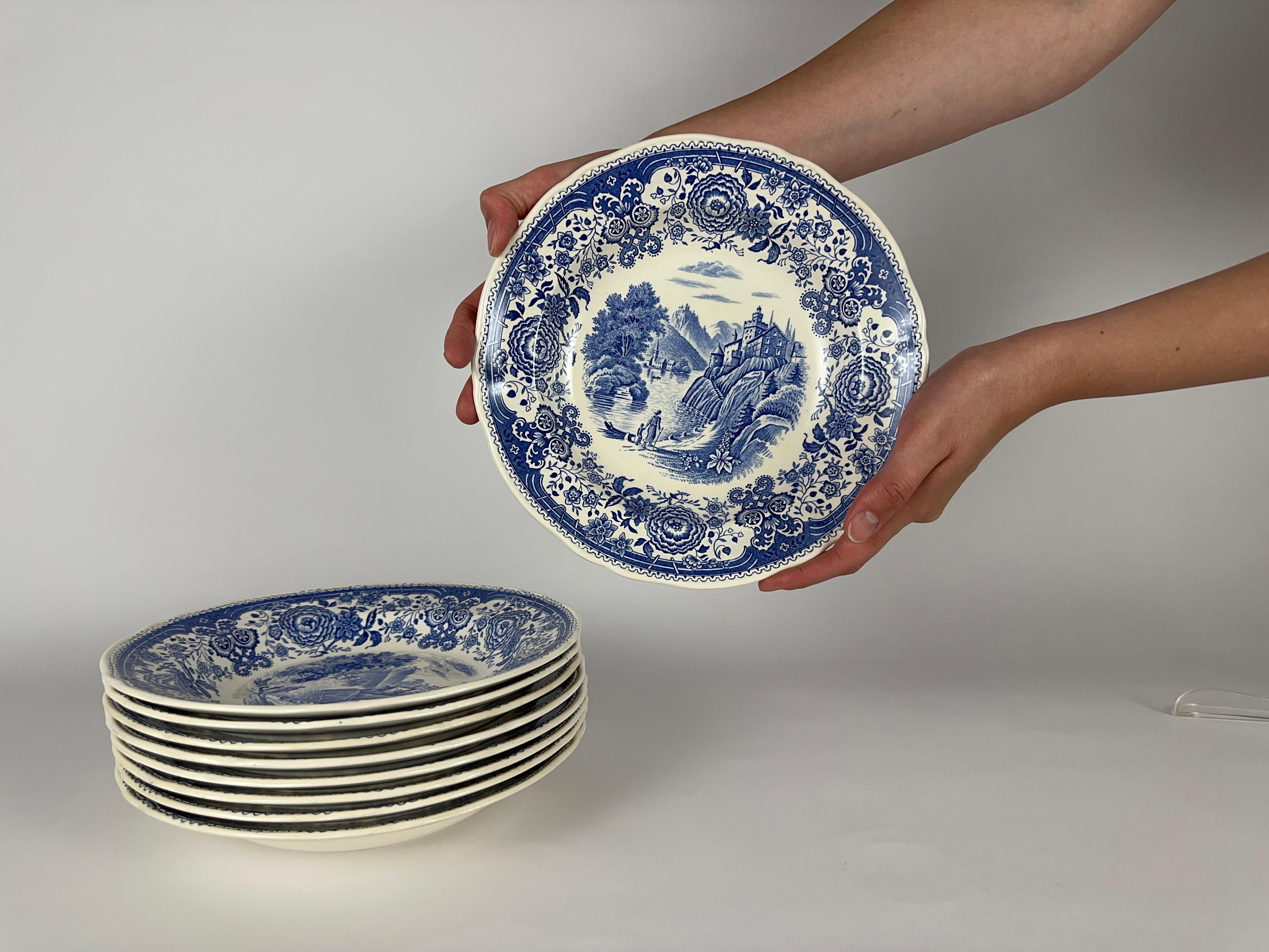 Villeroy & Boch, Deutschland, tiefe Suppen- und Pastateller mit blauem Burgenland-Muster.

Mettlach Keramiken aus Deutschland.

Dieses Muster wurde 2002 aus dem Programm genommen und ist nicht mehr erhältlich.

Die Serie Burgenland Blue von Villeroy