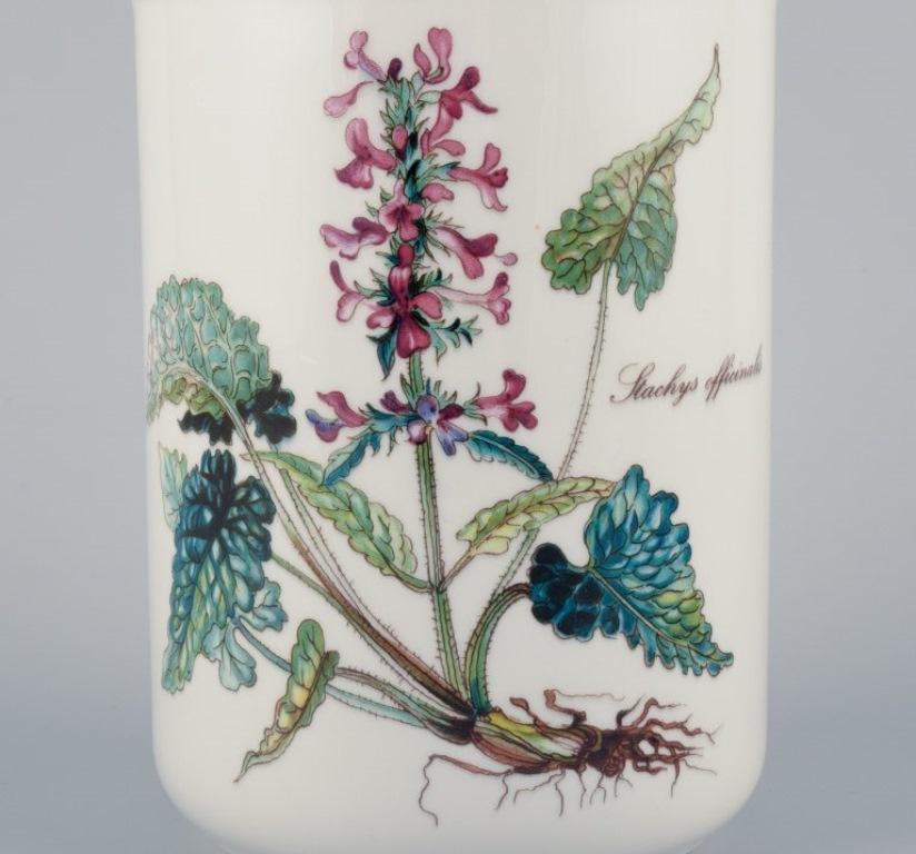 villeroy & boch botanica vitro porcelain