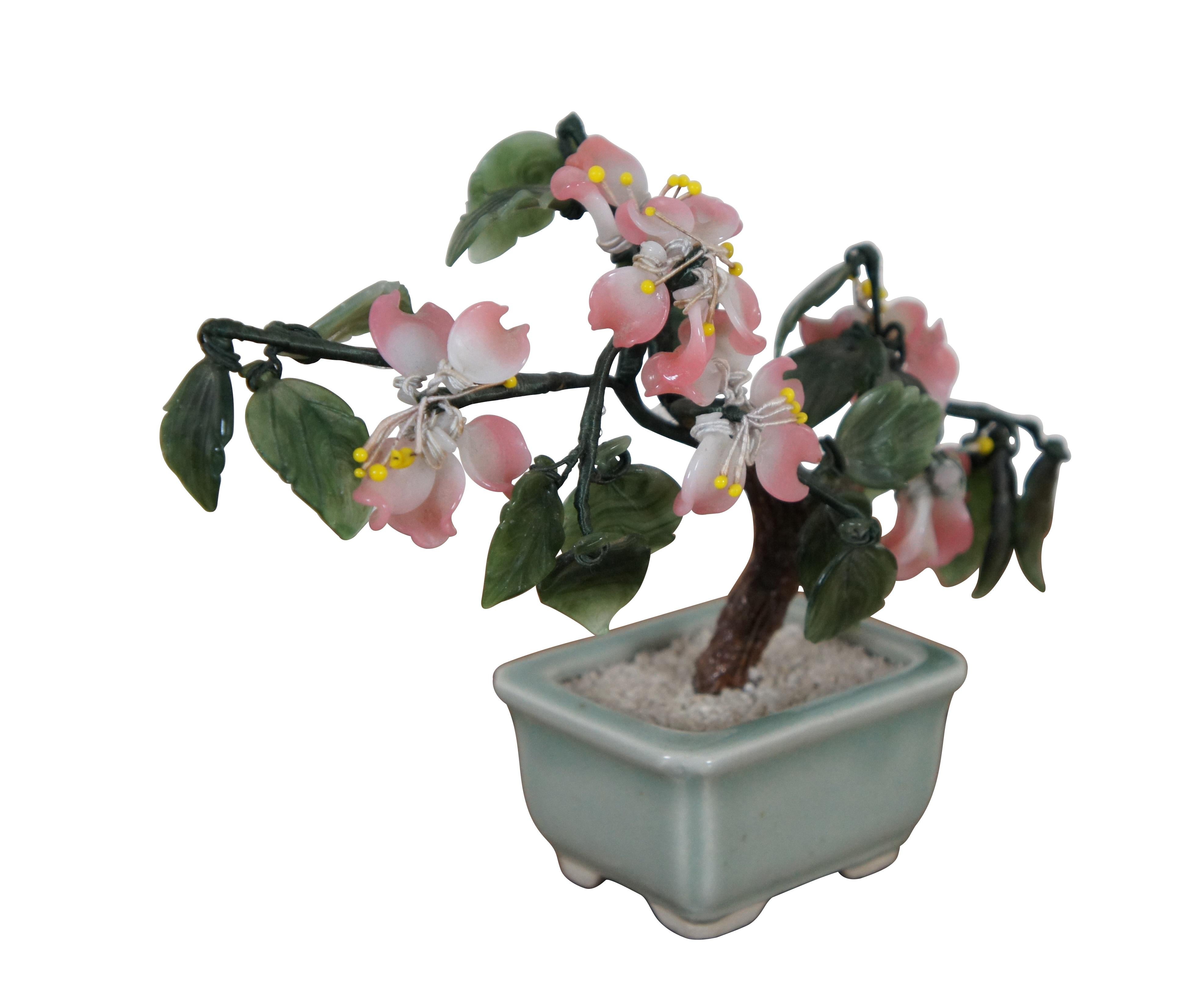 kirschblüten bonsai kaufen