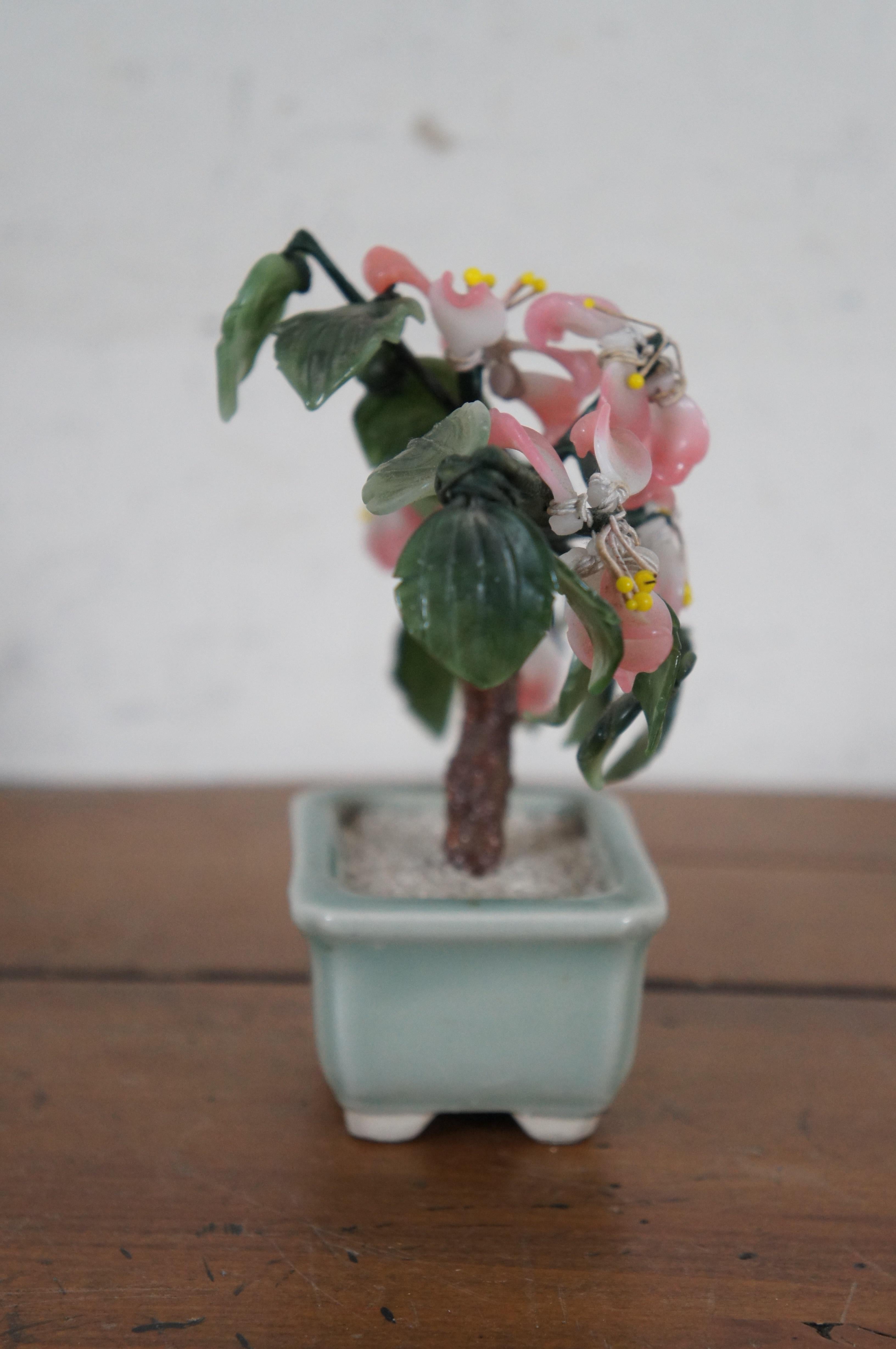 kirschblüten-bonsai echt