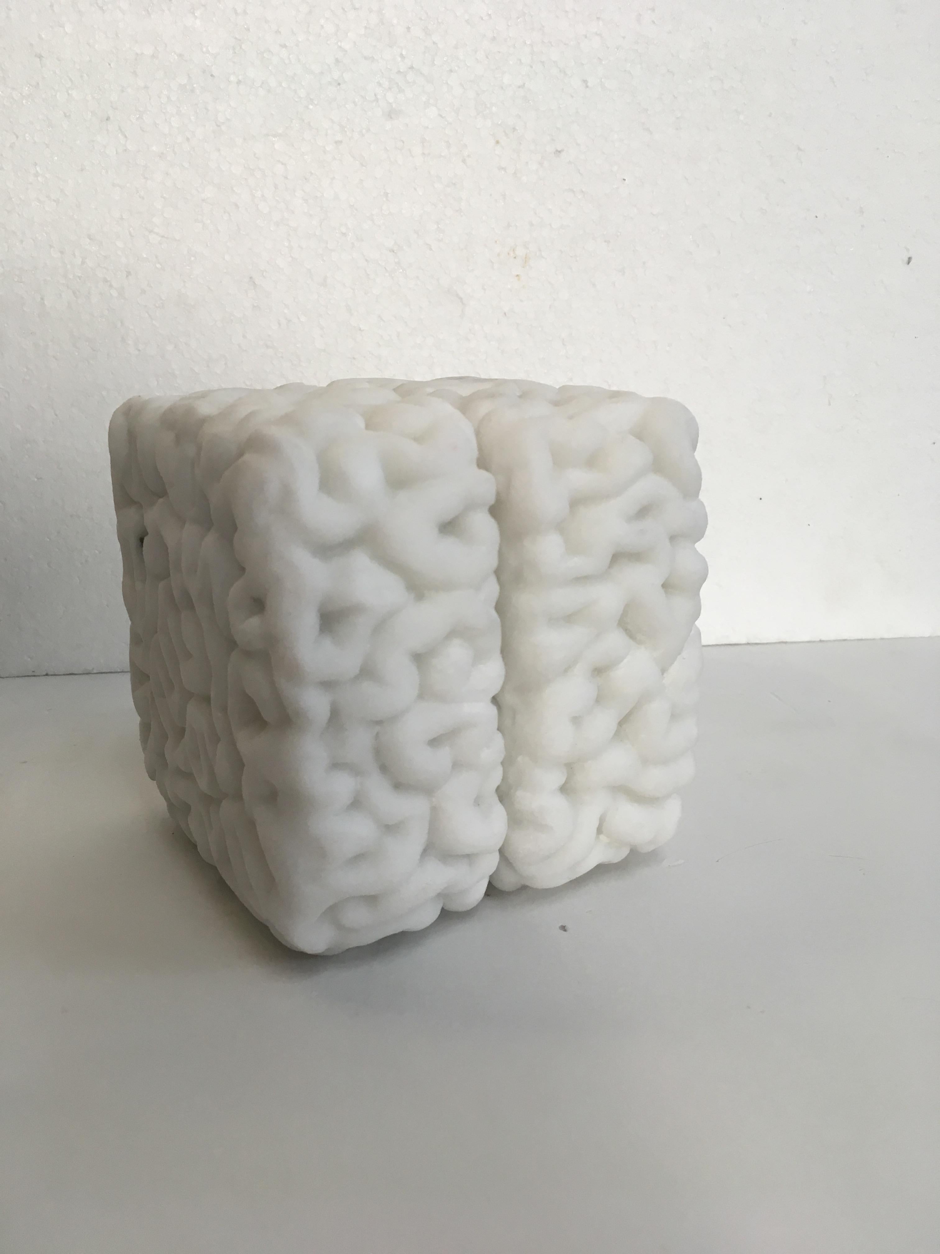 Carrara Marble Cubical Brain 