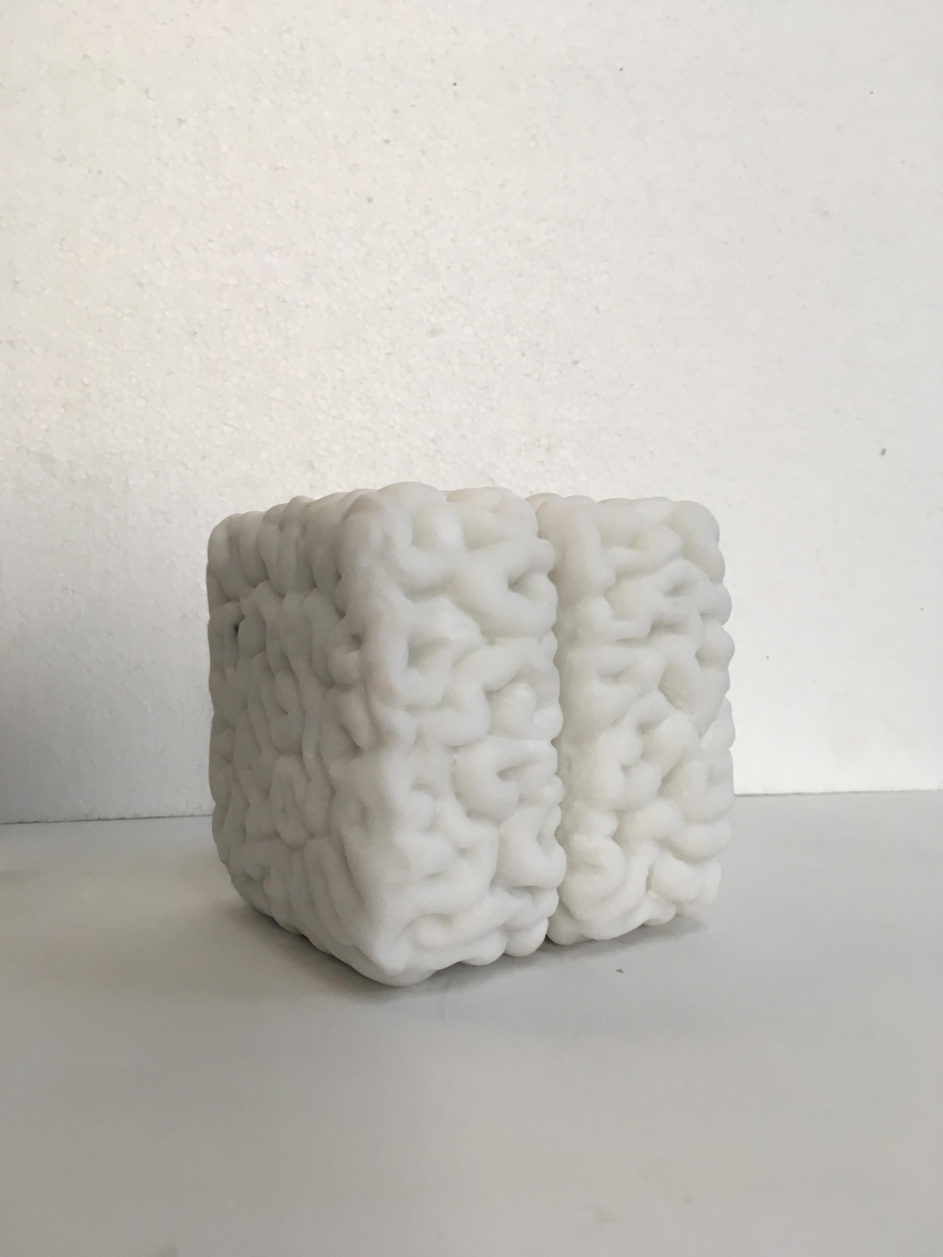 Carrara Marble Cubical Brain 